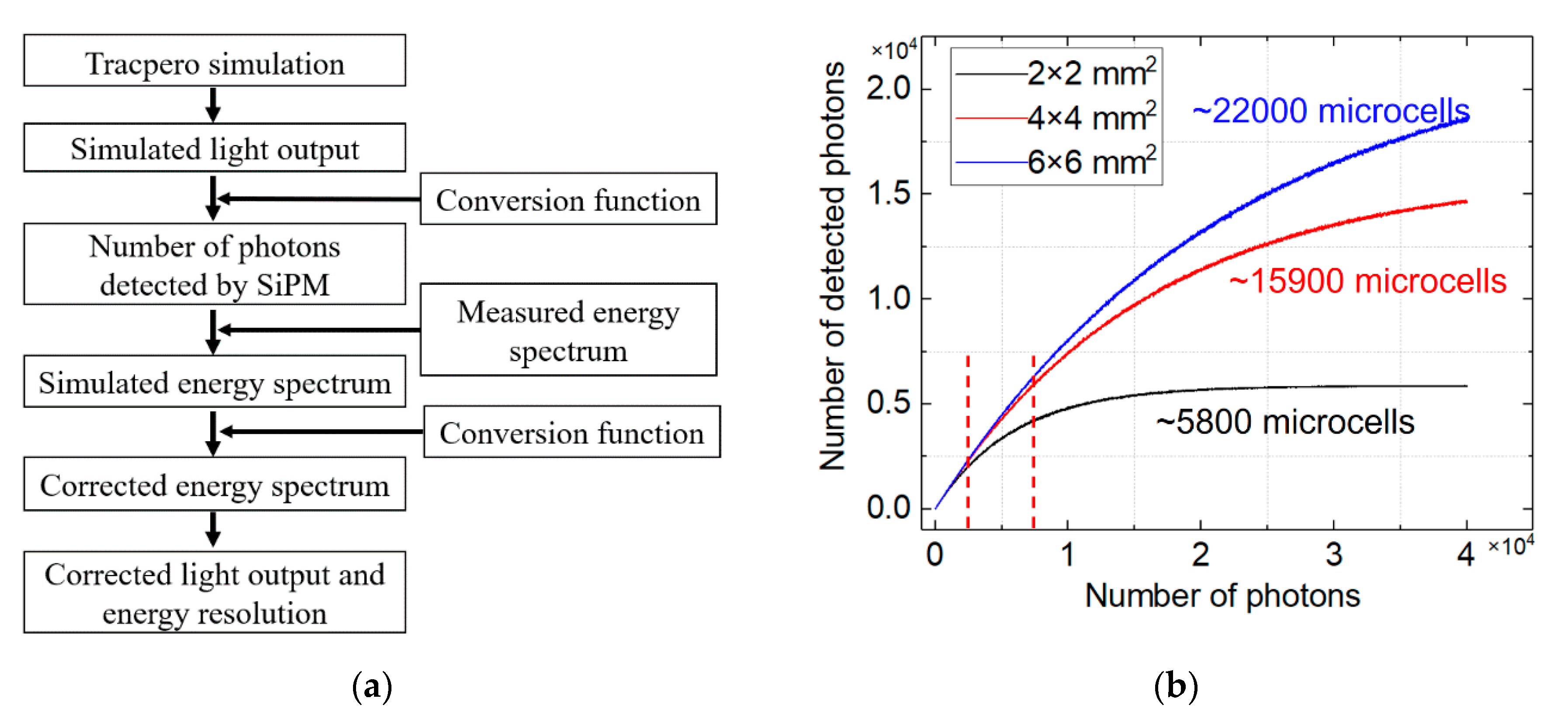 Crystals 10 00869 g006