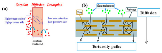 Crystals 10 00957 g018
