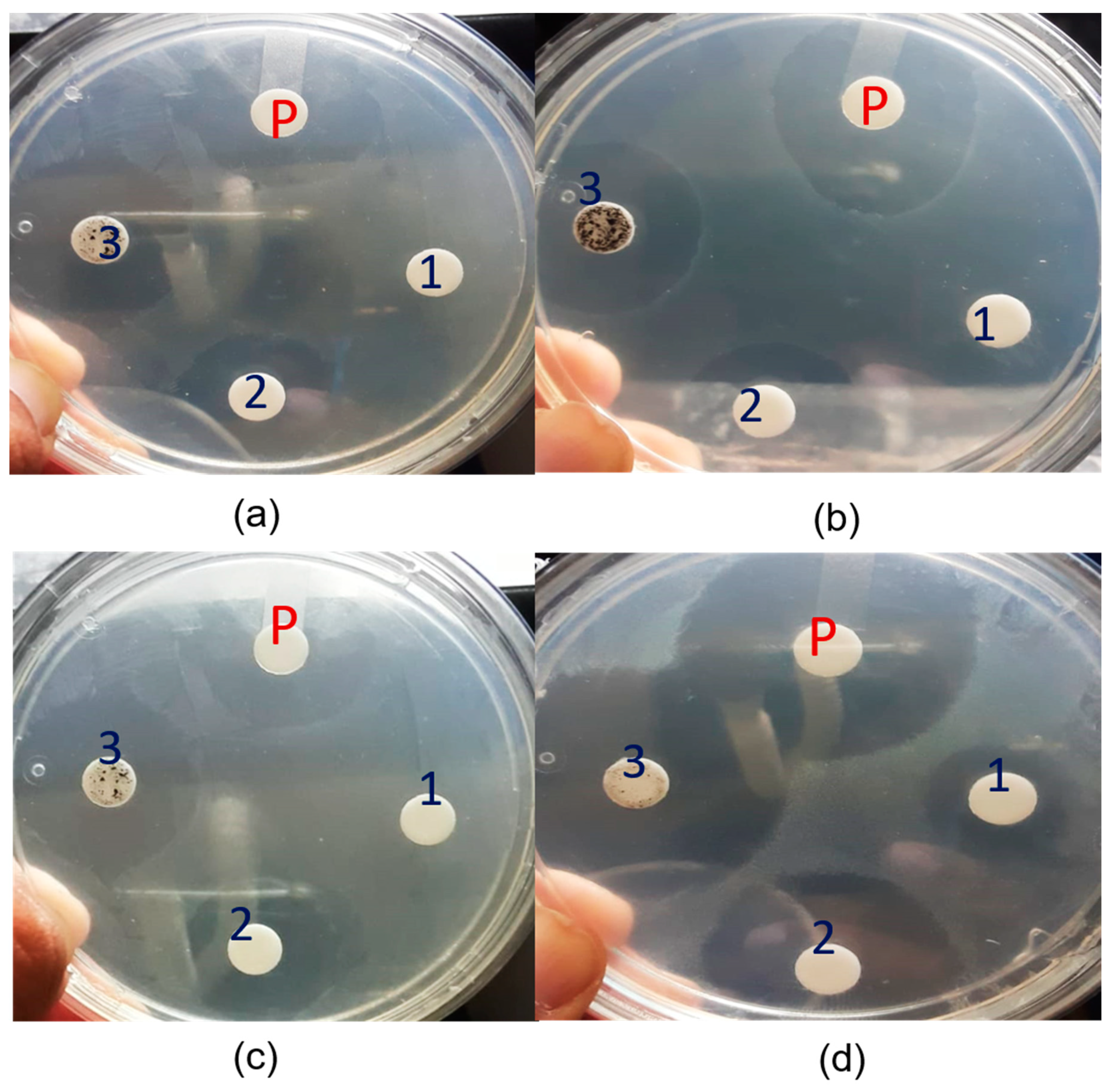 Crystals 10 00966 g006 Crystals 10 00966 g006