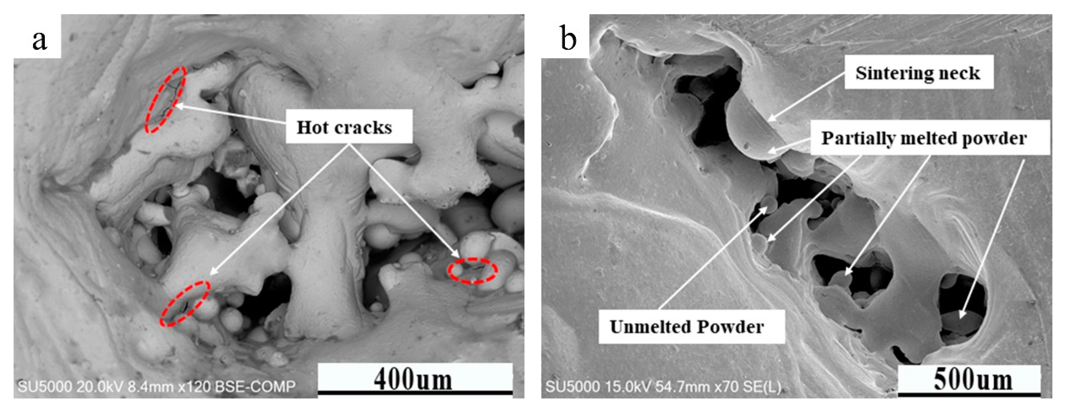 Crystals 10 00972 g006
