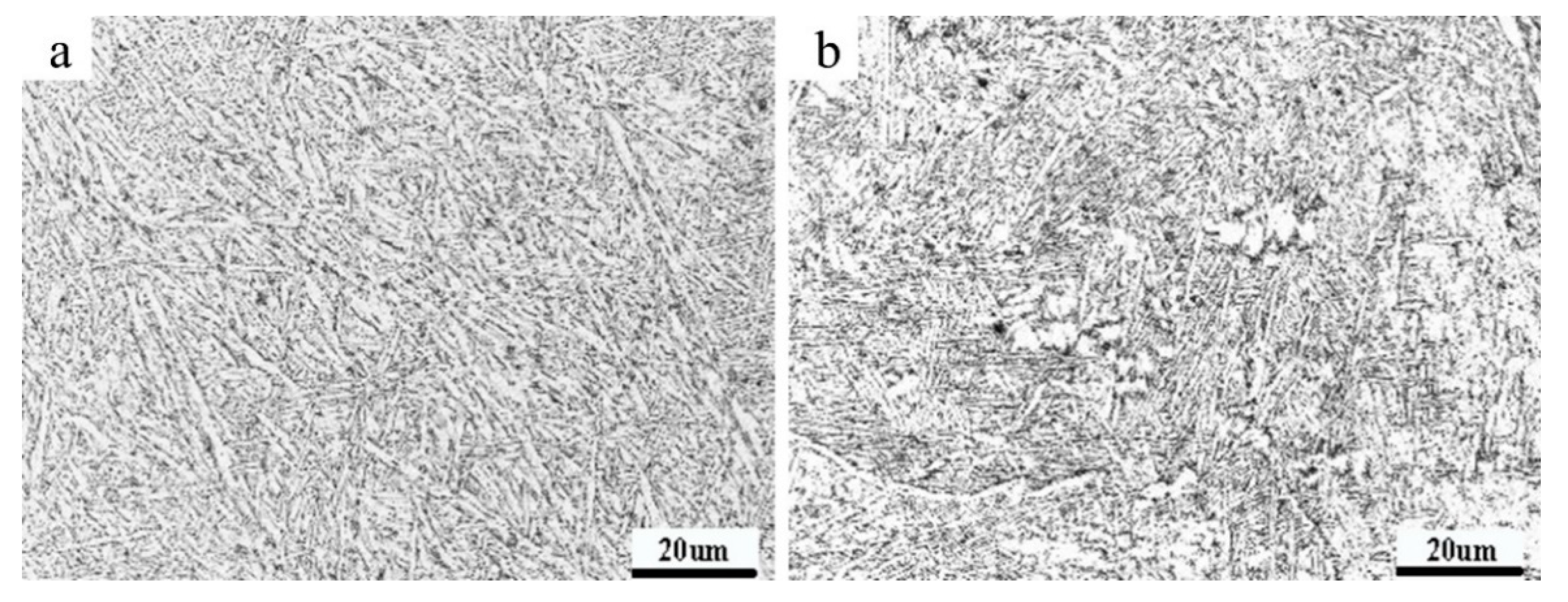 Crystals 10 00972 g010