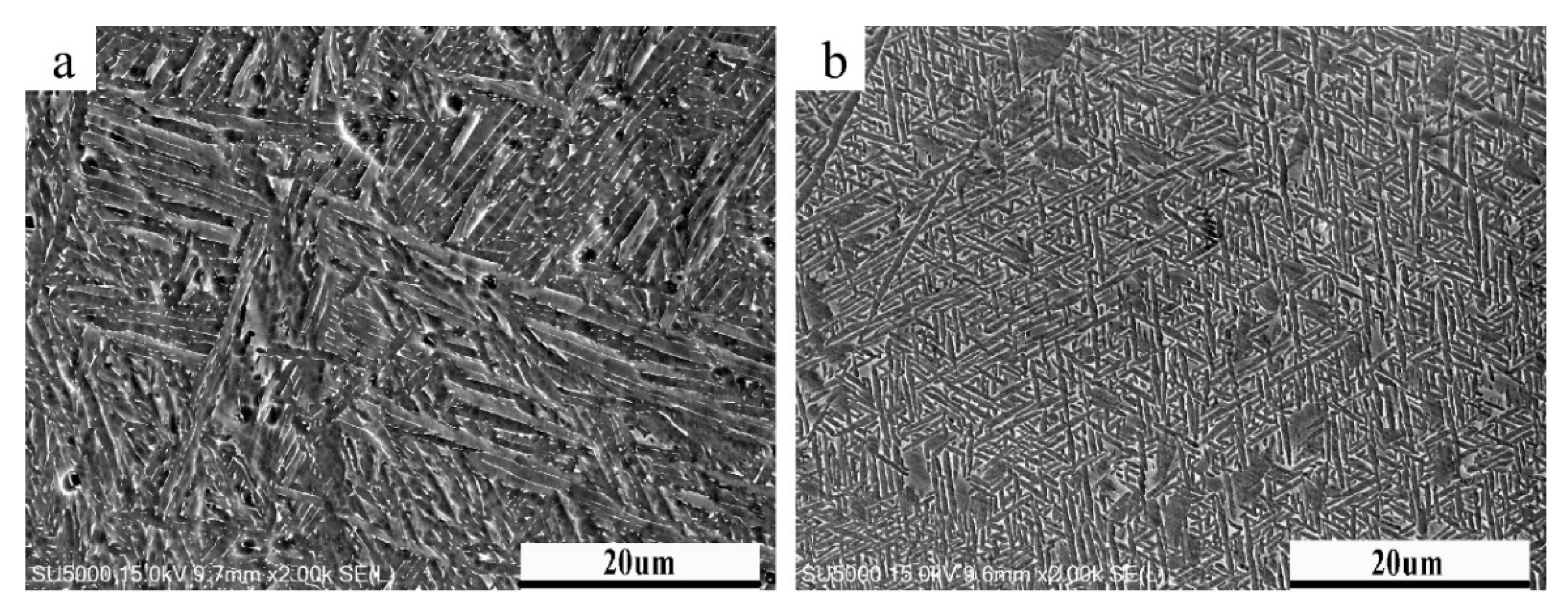 Crystals 10 00972 g011