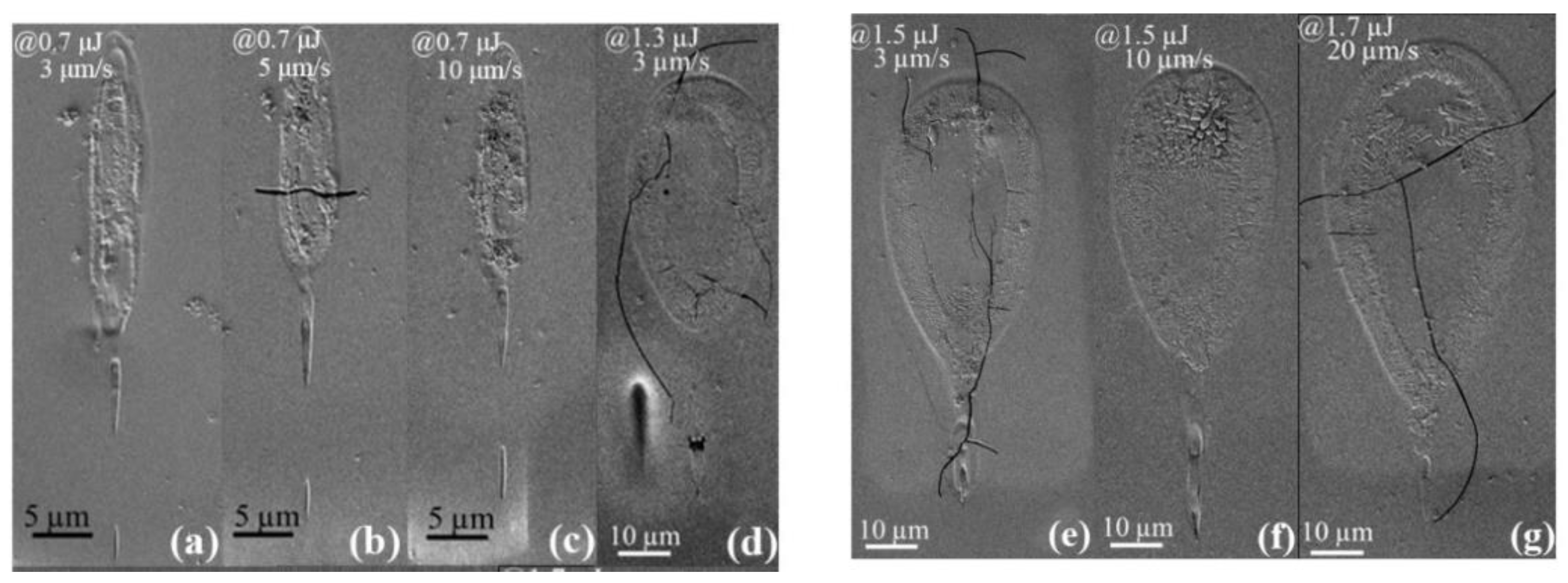 Crystals 10 00979 g002