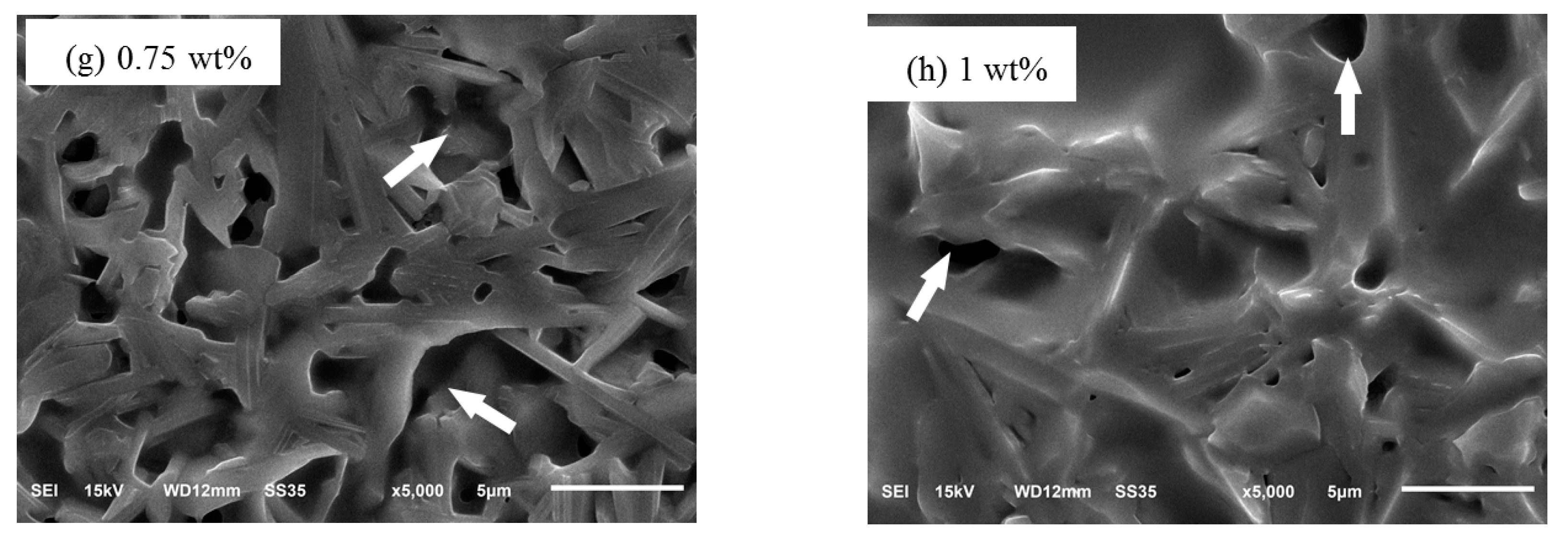 Crystals 10 00987 g005b