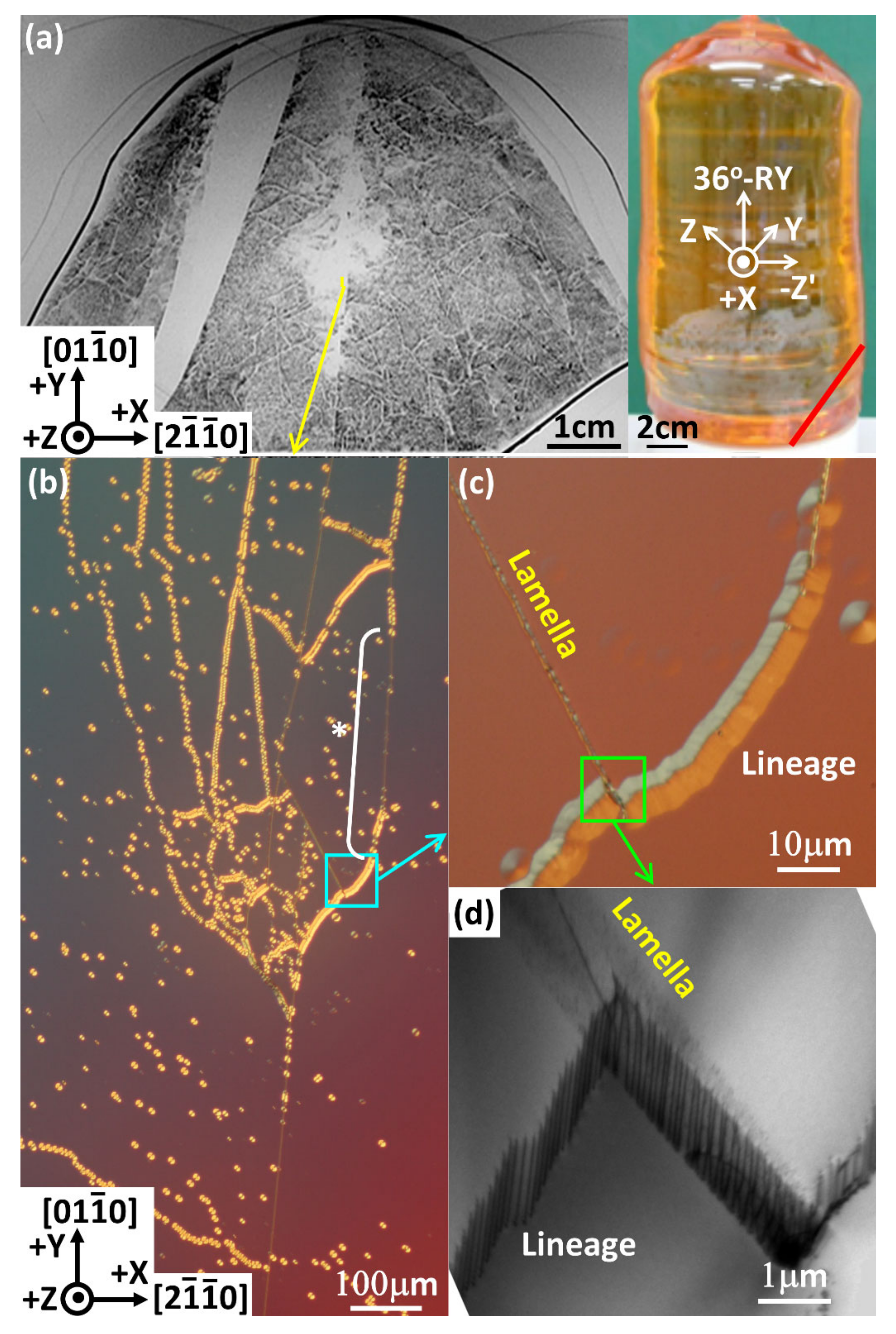 Crystals 10 01009 g006