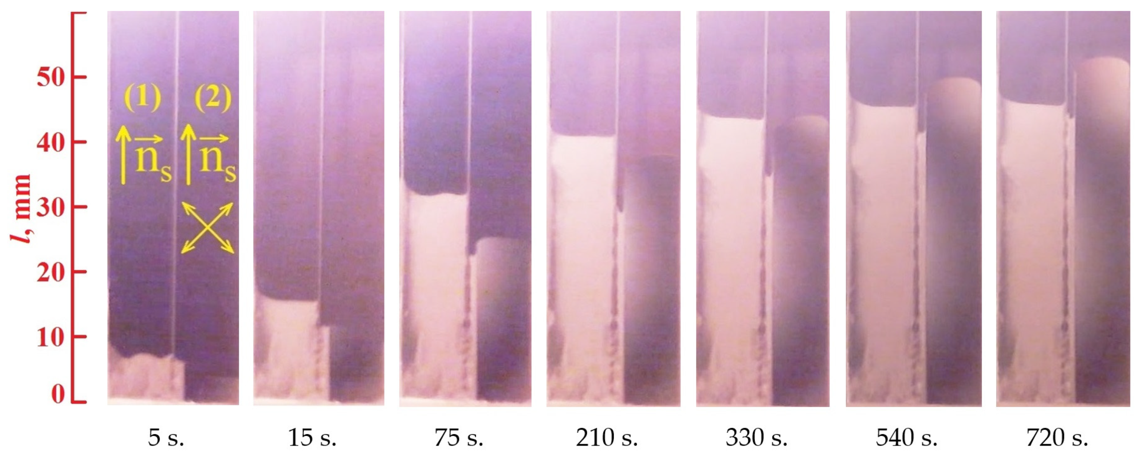 Crystals 10 01029 g003