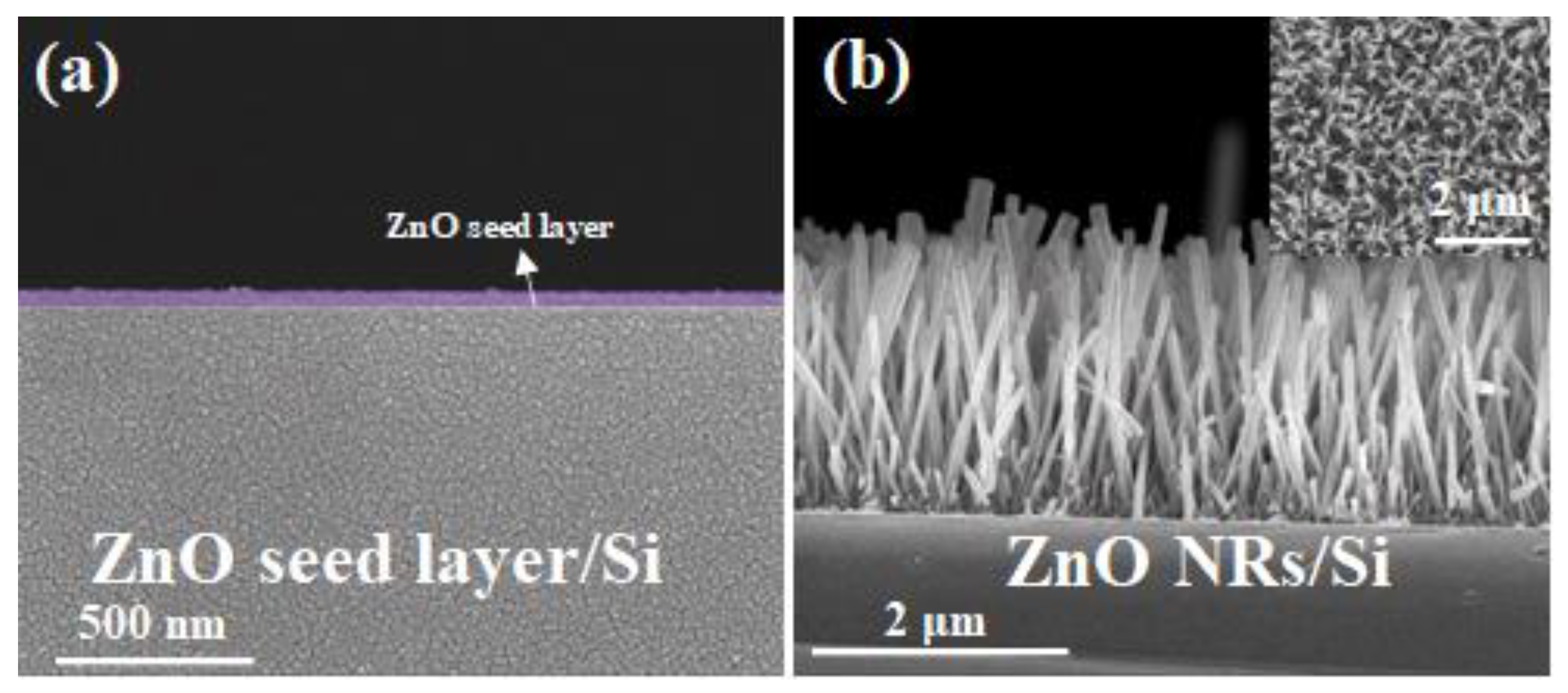 Crystals 10 01082 g002