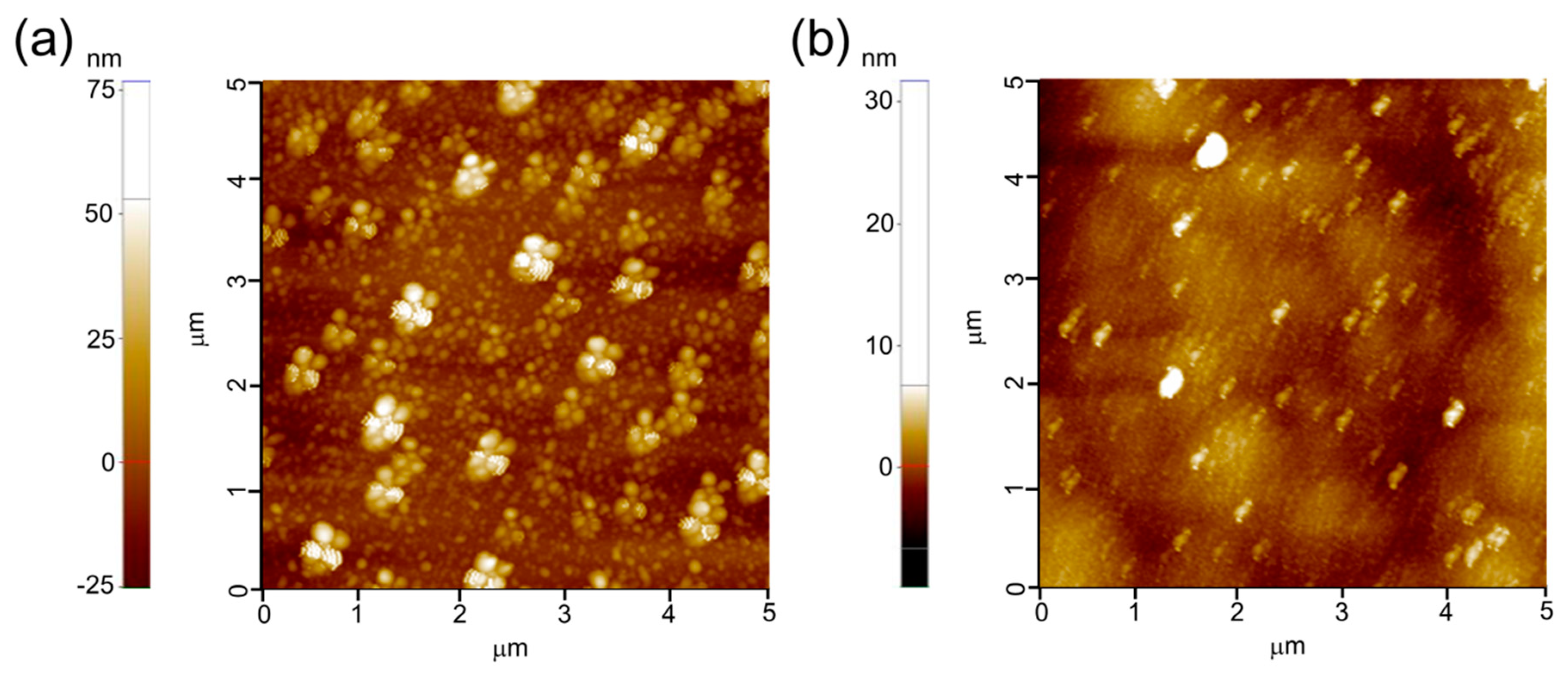 Crystals 10 01091 g005
