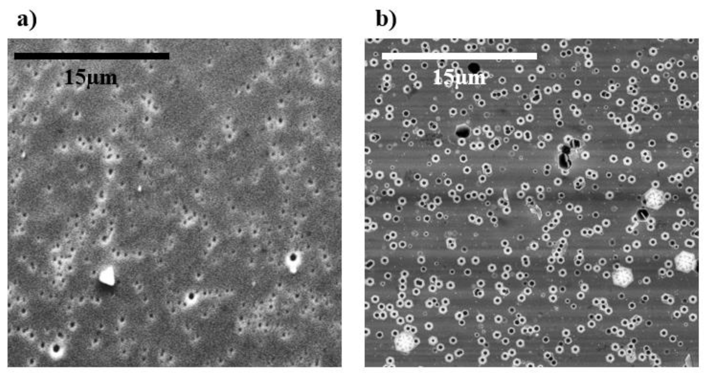 Crystals 10 01100 g010