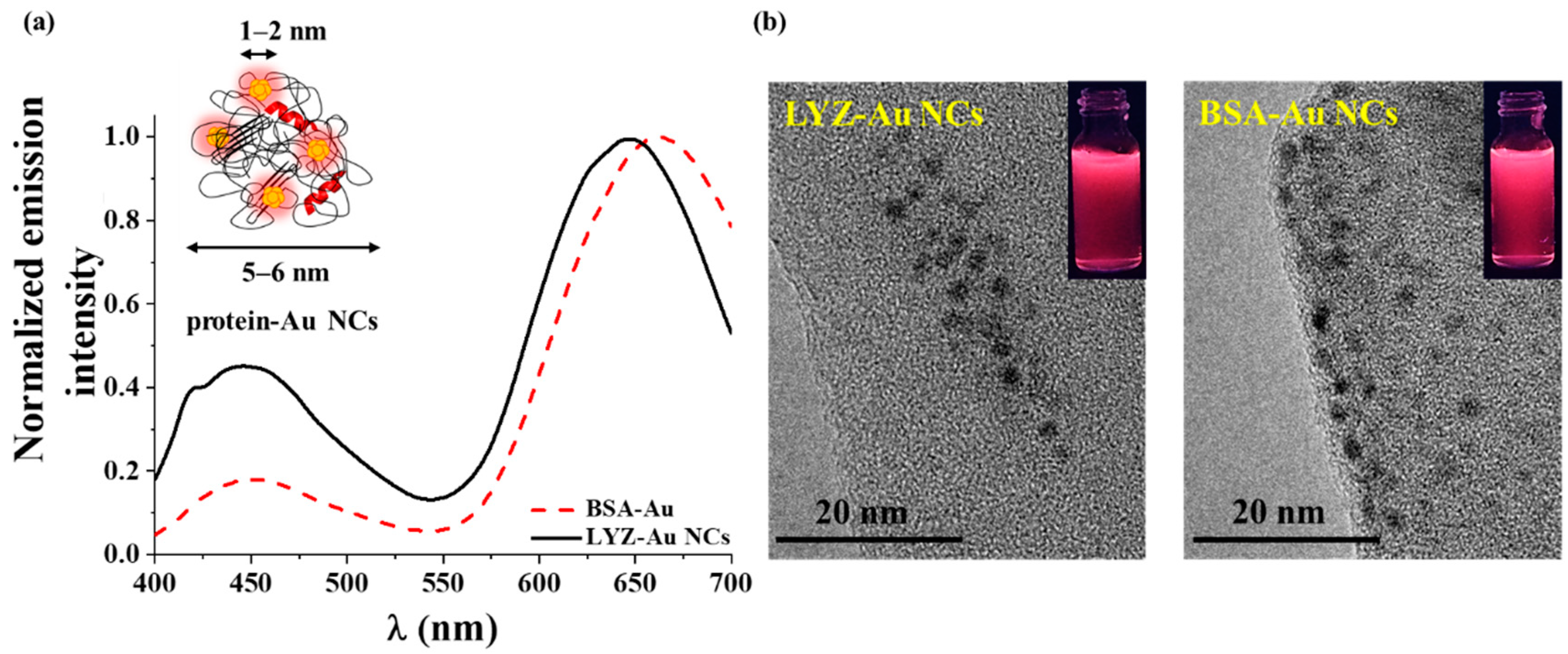 Crystals 10 01113 g001