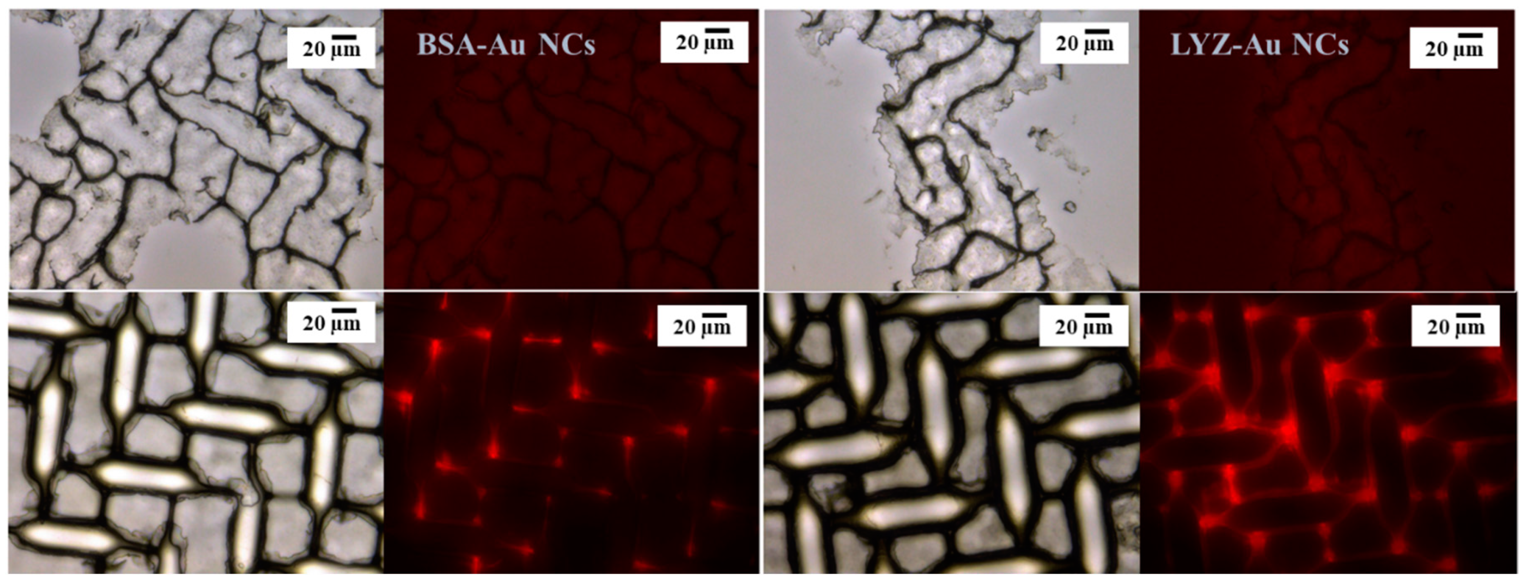 Crystals 10 01113 g007