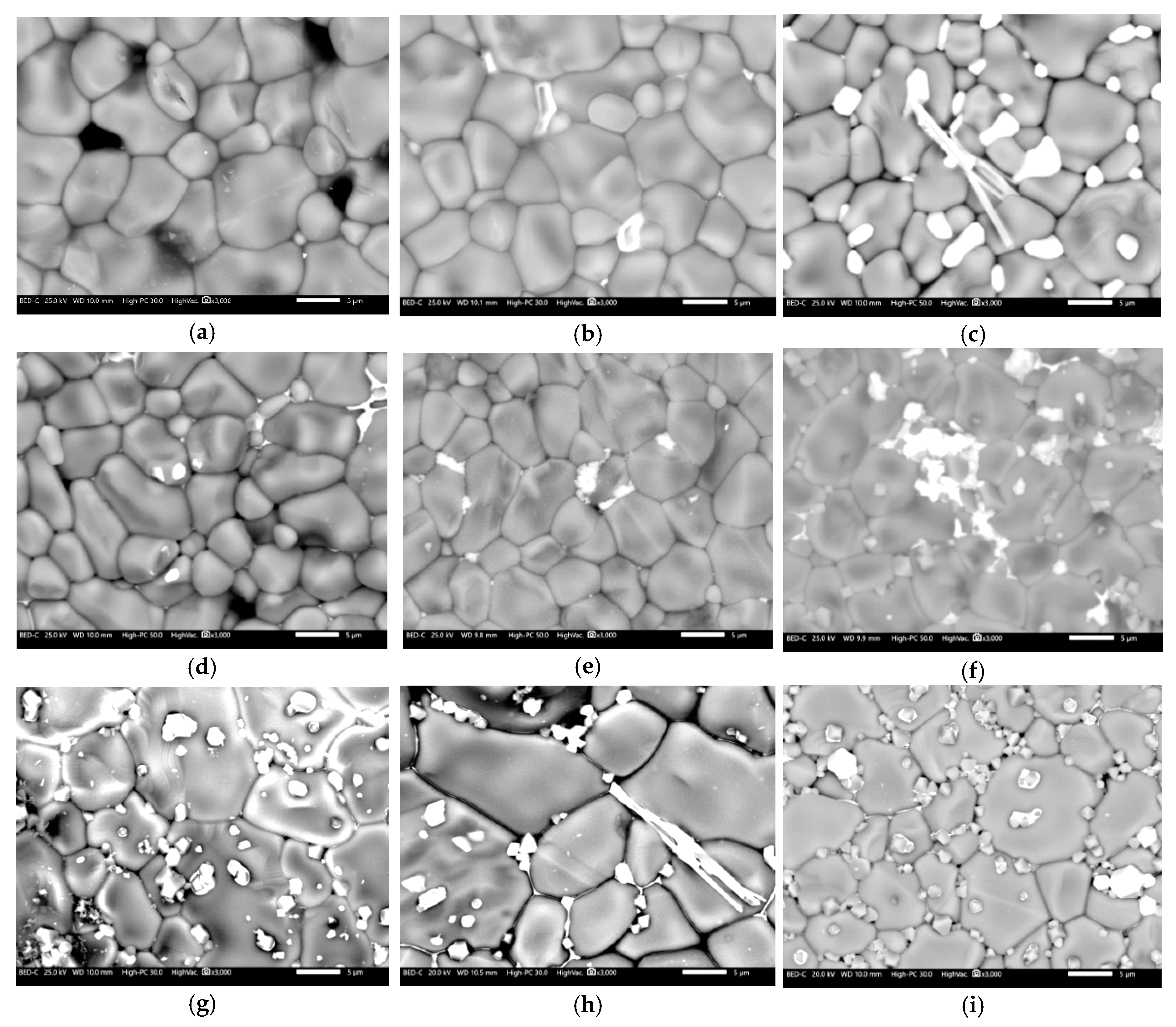 Crystals 10 01134 g007 Crystals 10 01134 g007