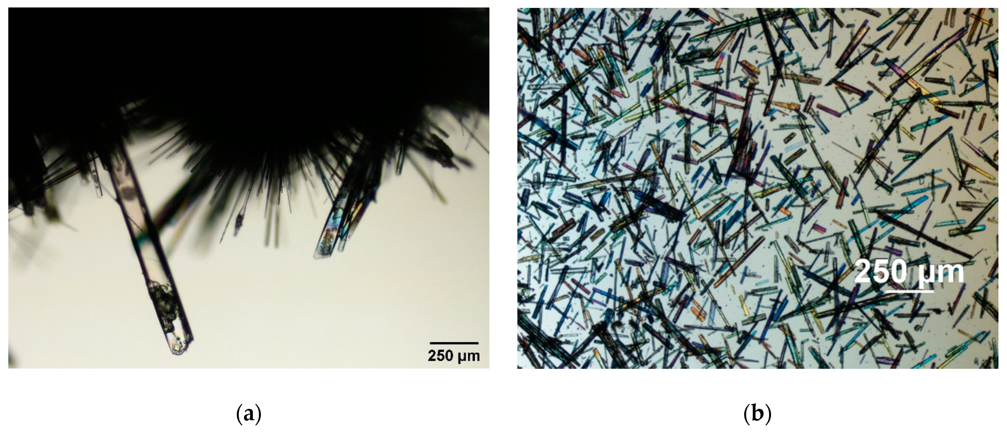 Crystals 10 01136 g002