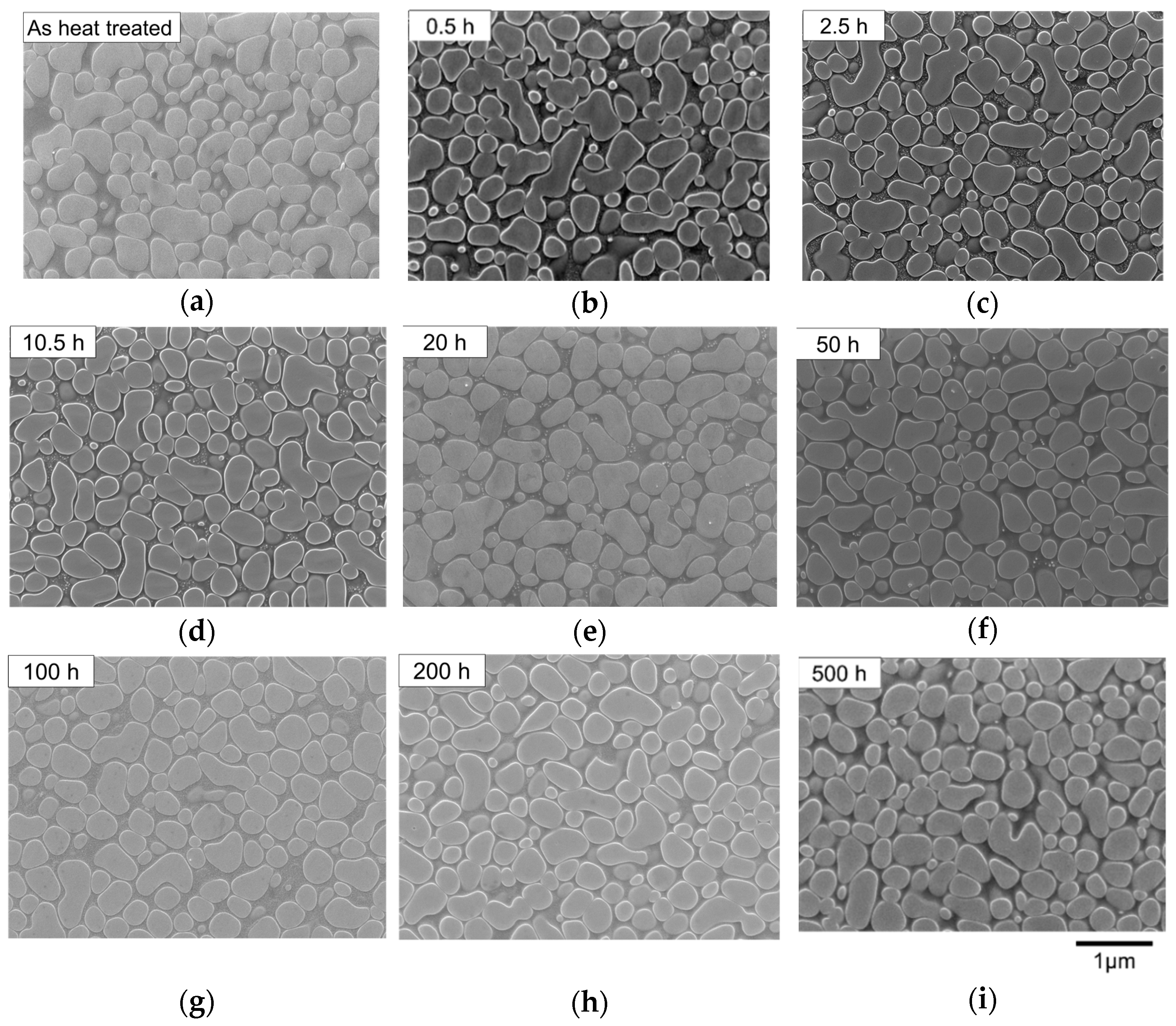 Crystals 11 00028 g002 Crystals 11 00028 g002