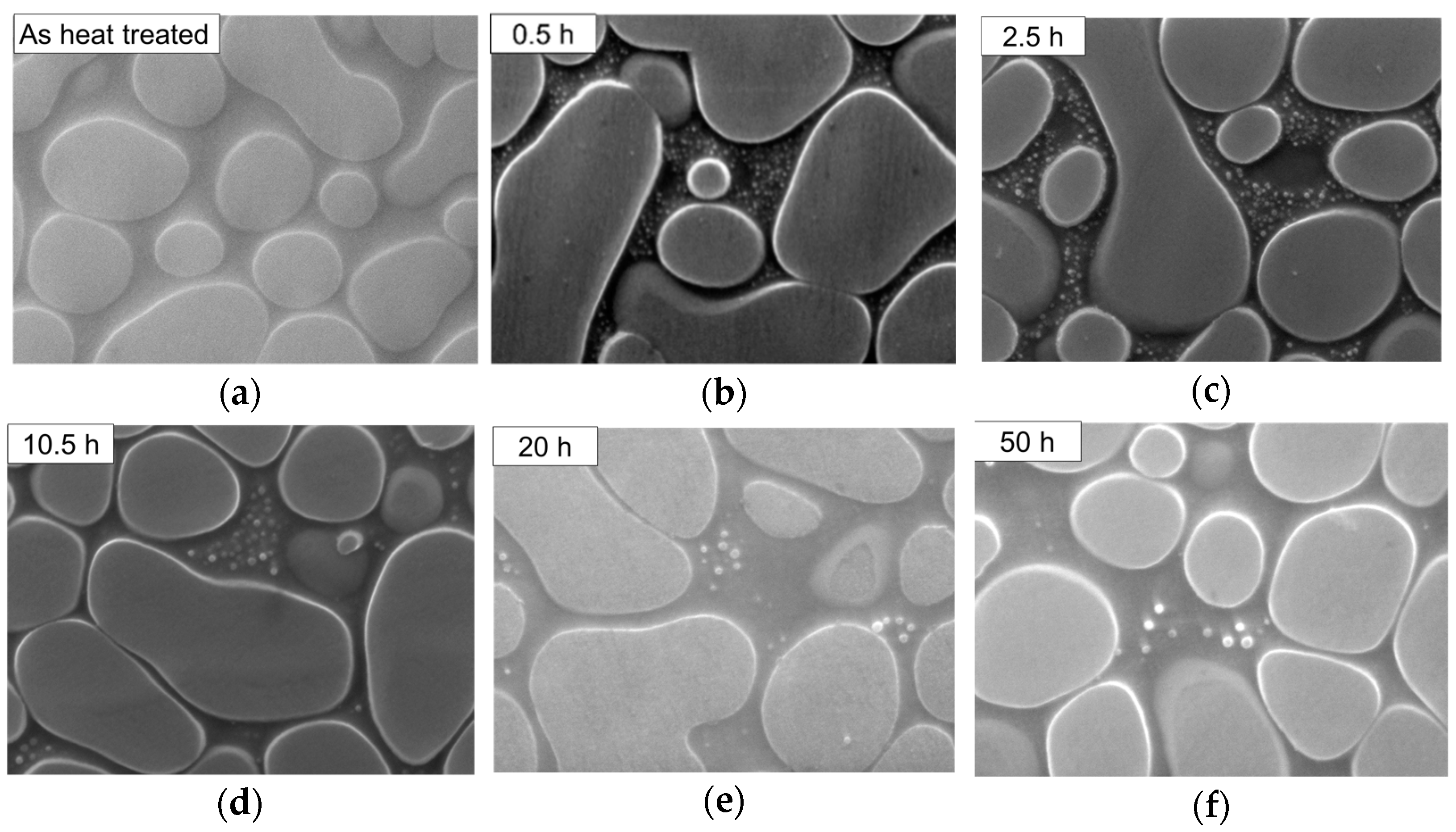Crystals 11 00028 g003a Crystals 11 00028 g003a