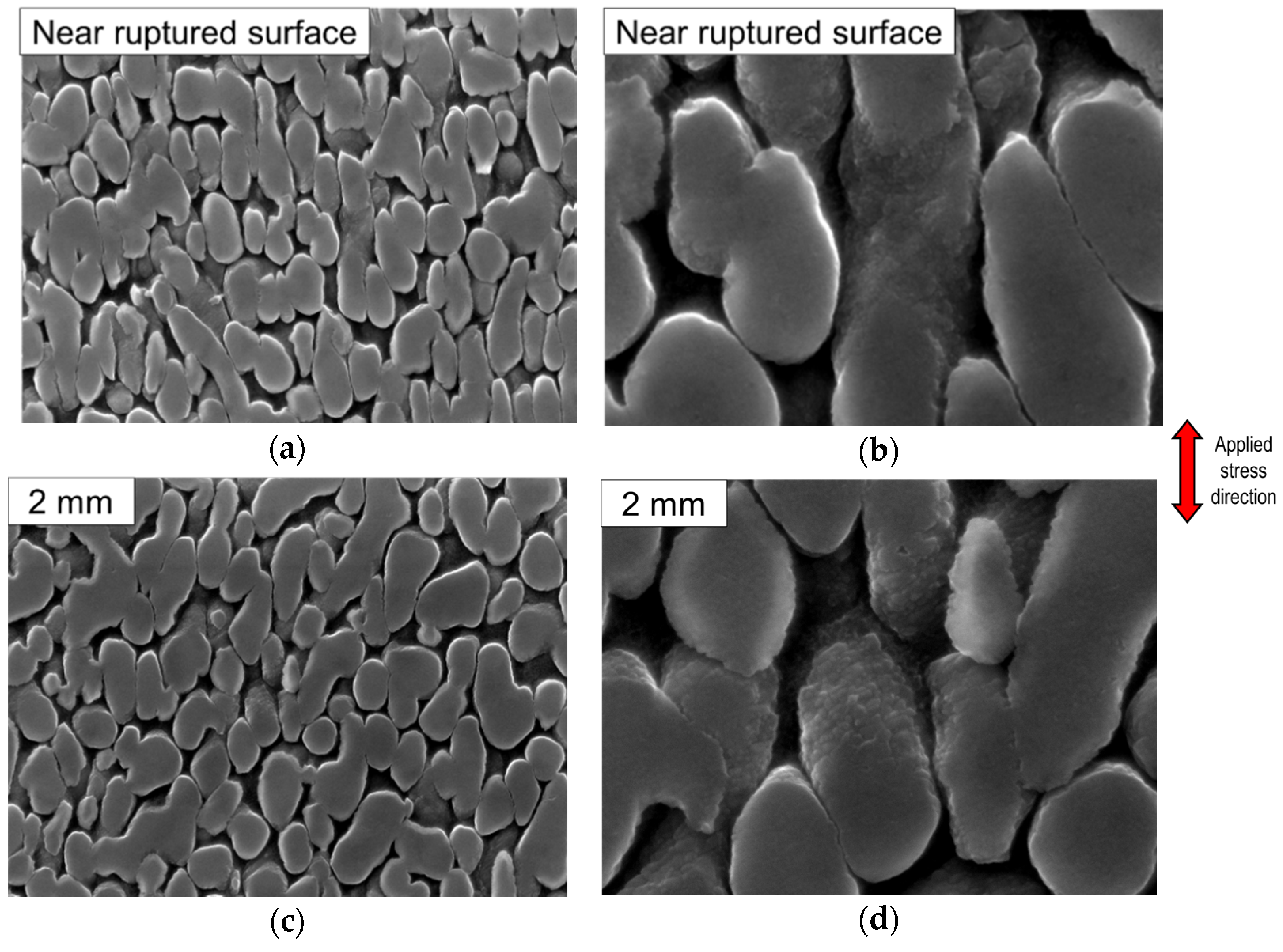 Crystals 11 00028 g007a Crystals 11 00028 g007a