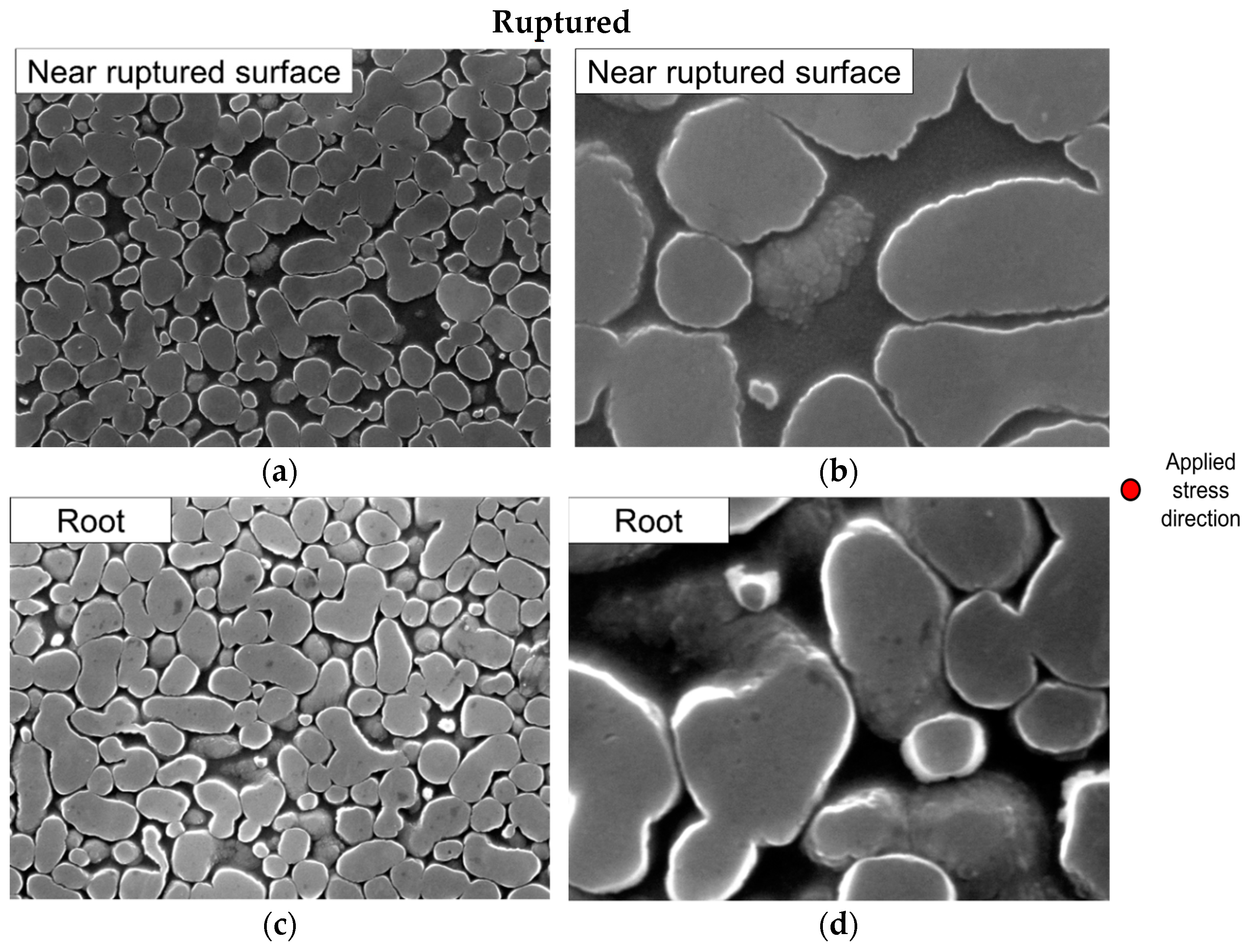 Crystals 11 00028 g009a Crystals 11 00028 g009a