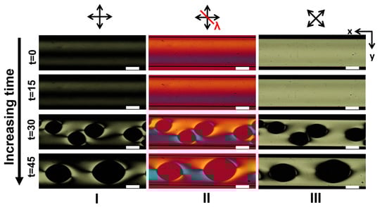 Crystals 11 00035 g0a19
