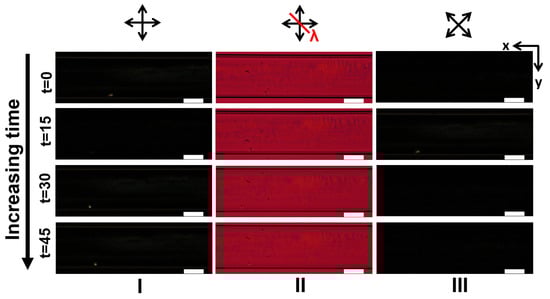 Crystals 11 00035 g0a20