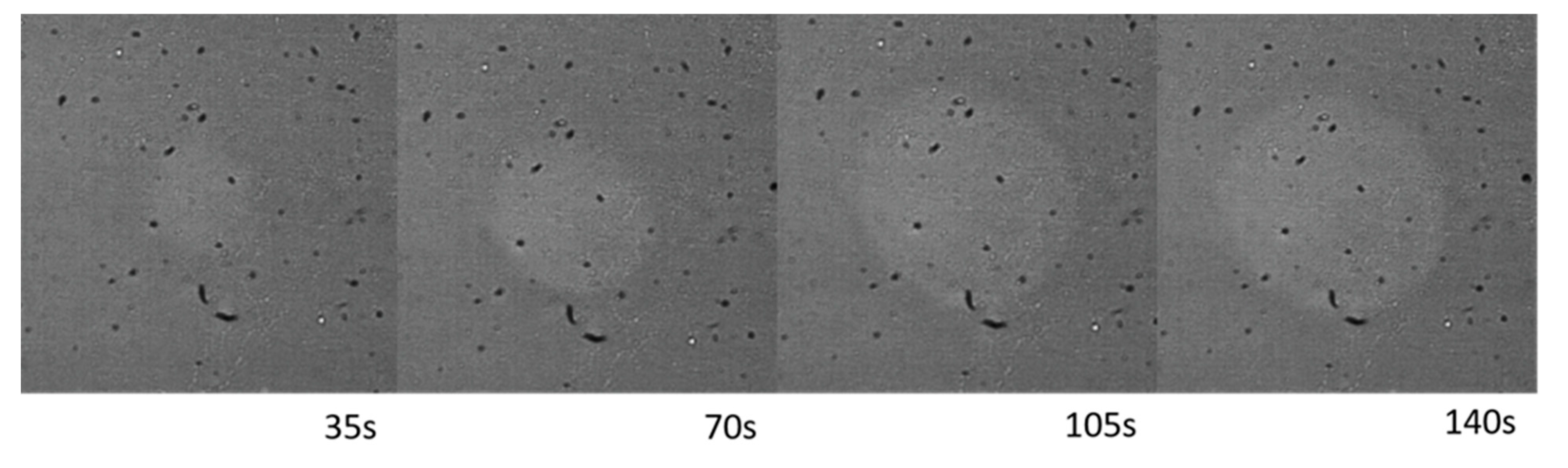 Crystals 11 00036 g003 Crystals 11 00036 g003