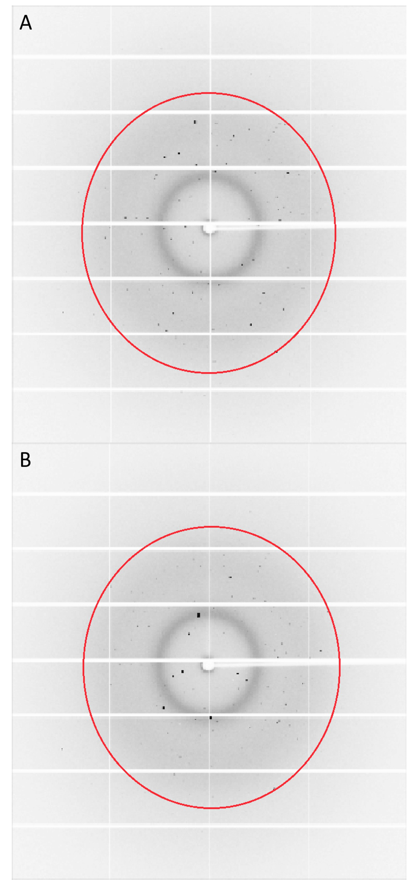 Crystals 11 00049 g003