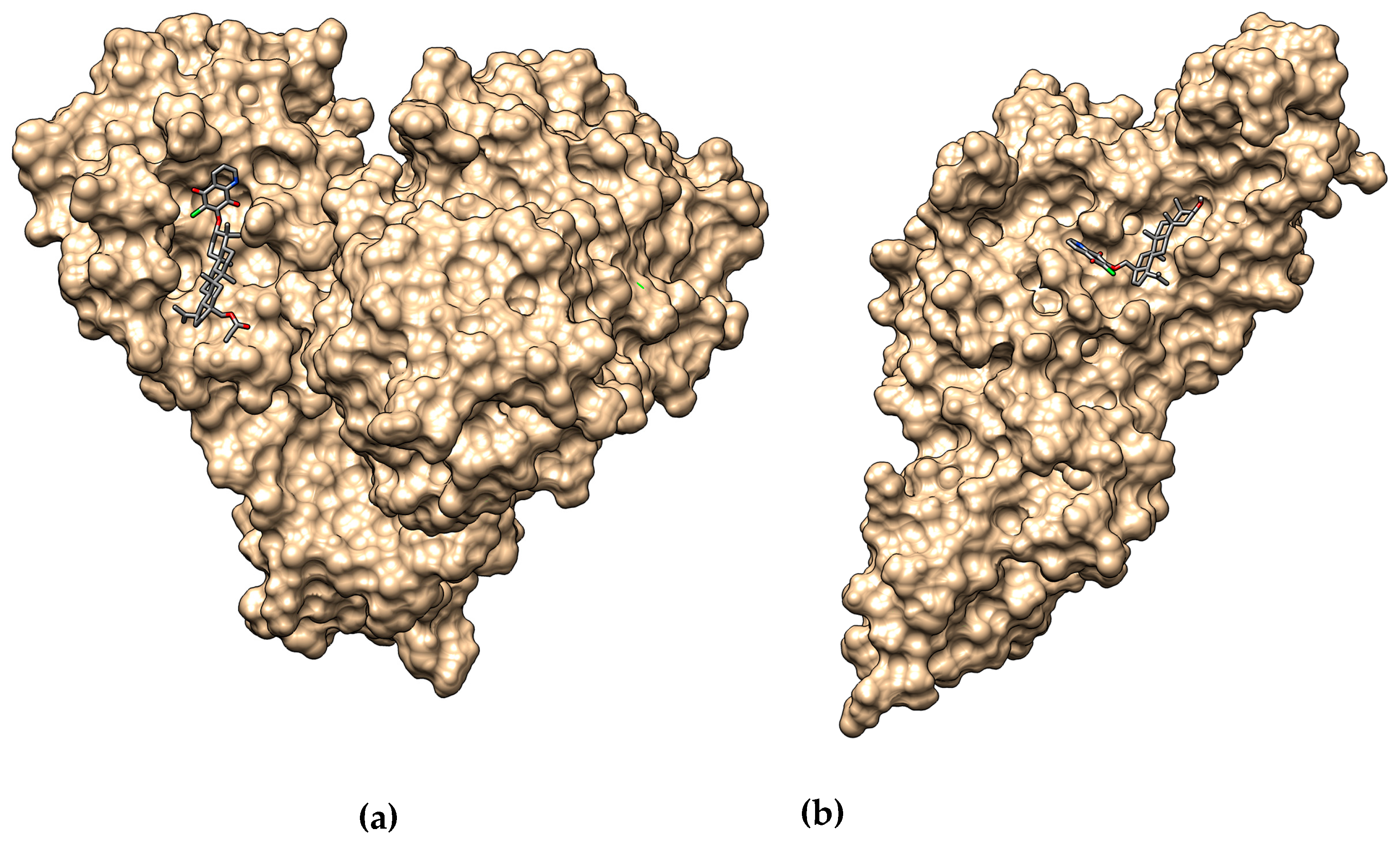 Crystals 11 00076 g010