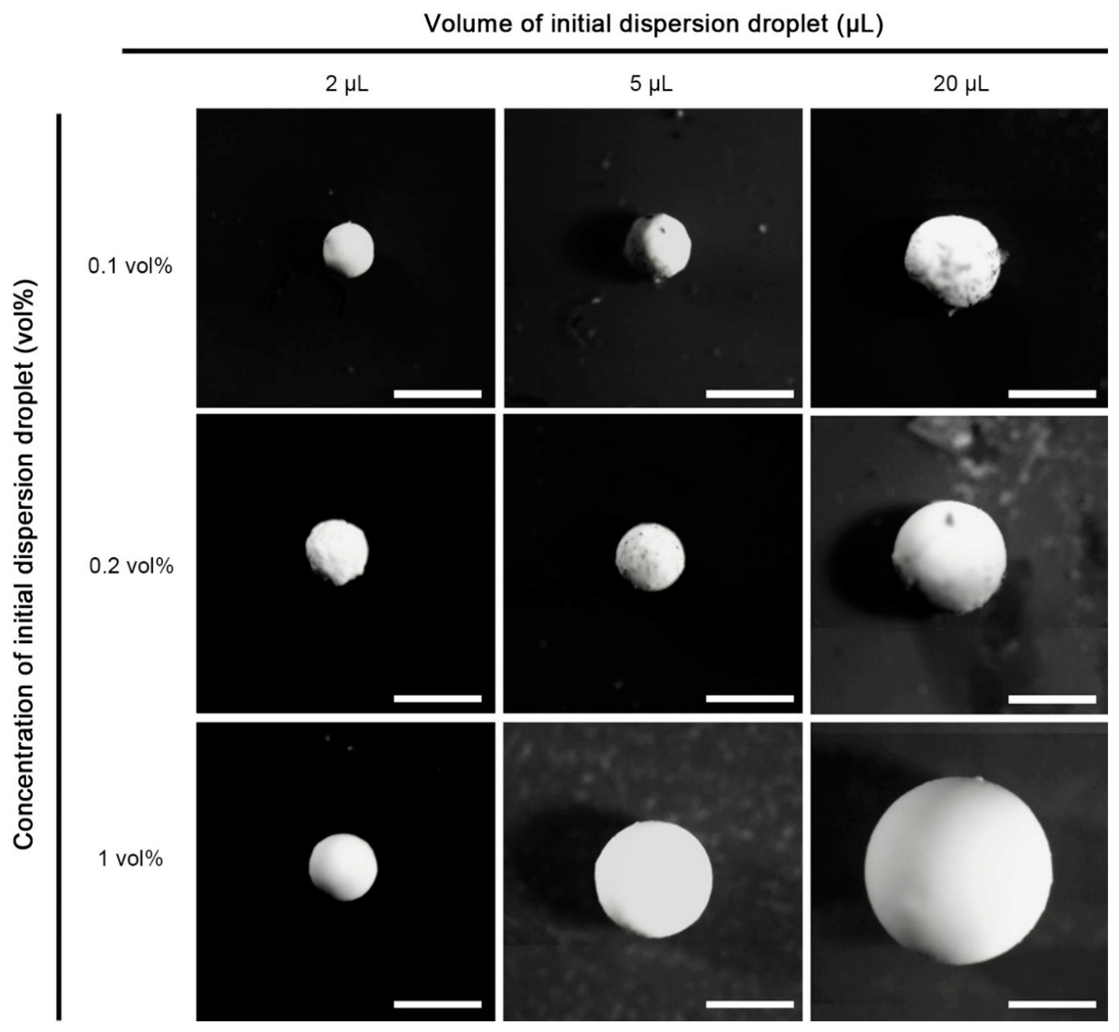 Crystals 11 00079 g003