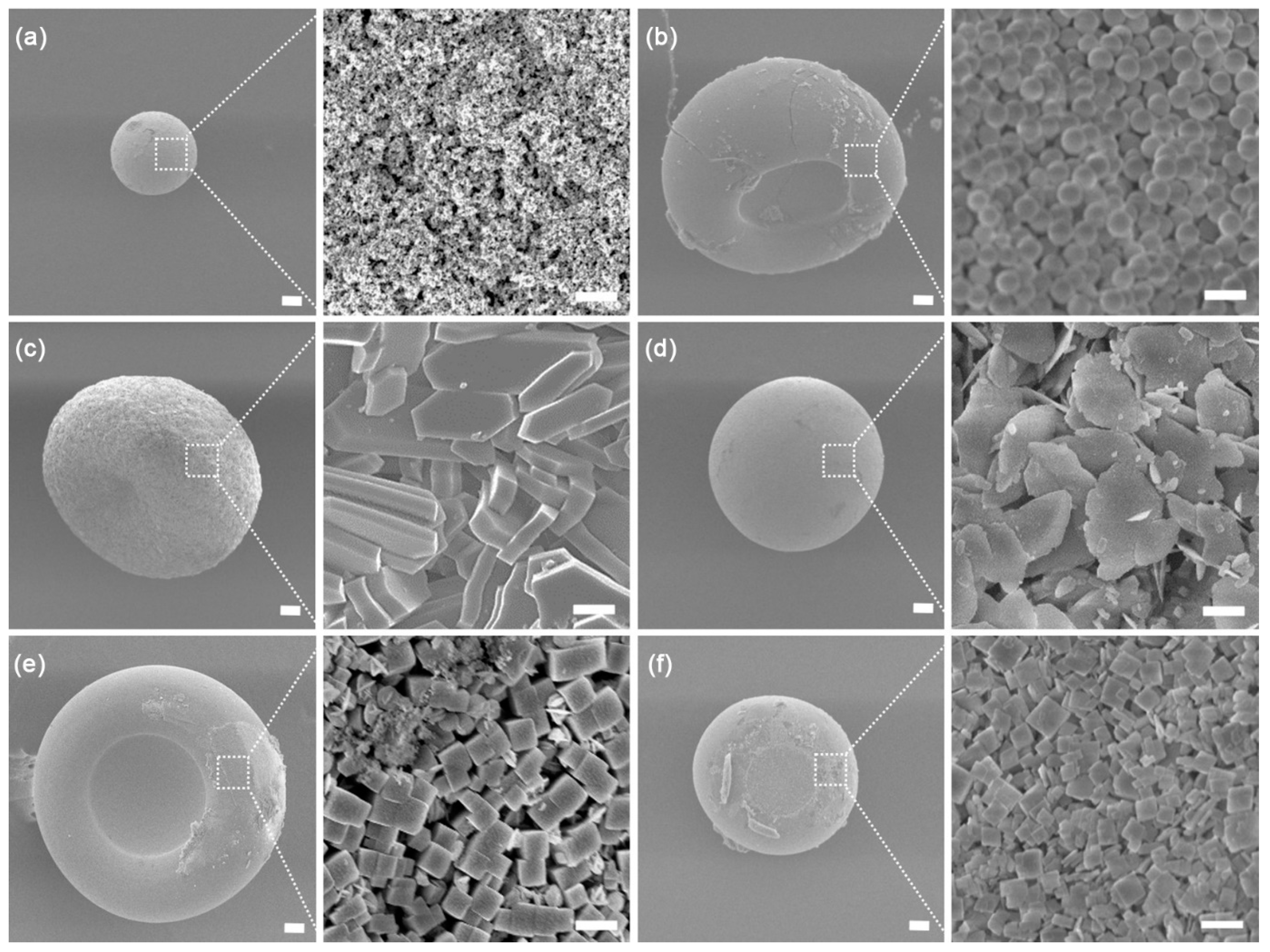 Crystals 11 00079 g005