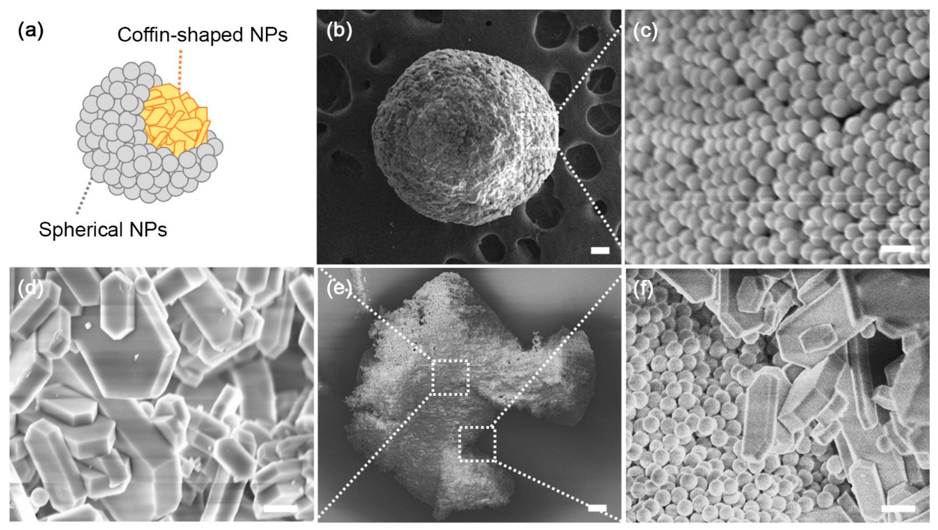 Crystals 11 00079 g007