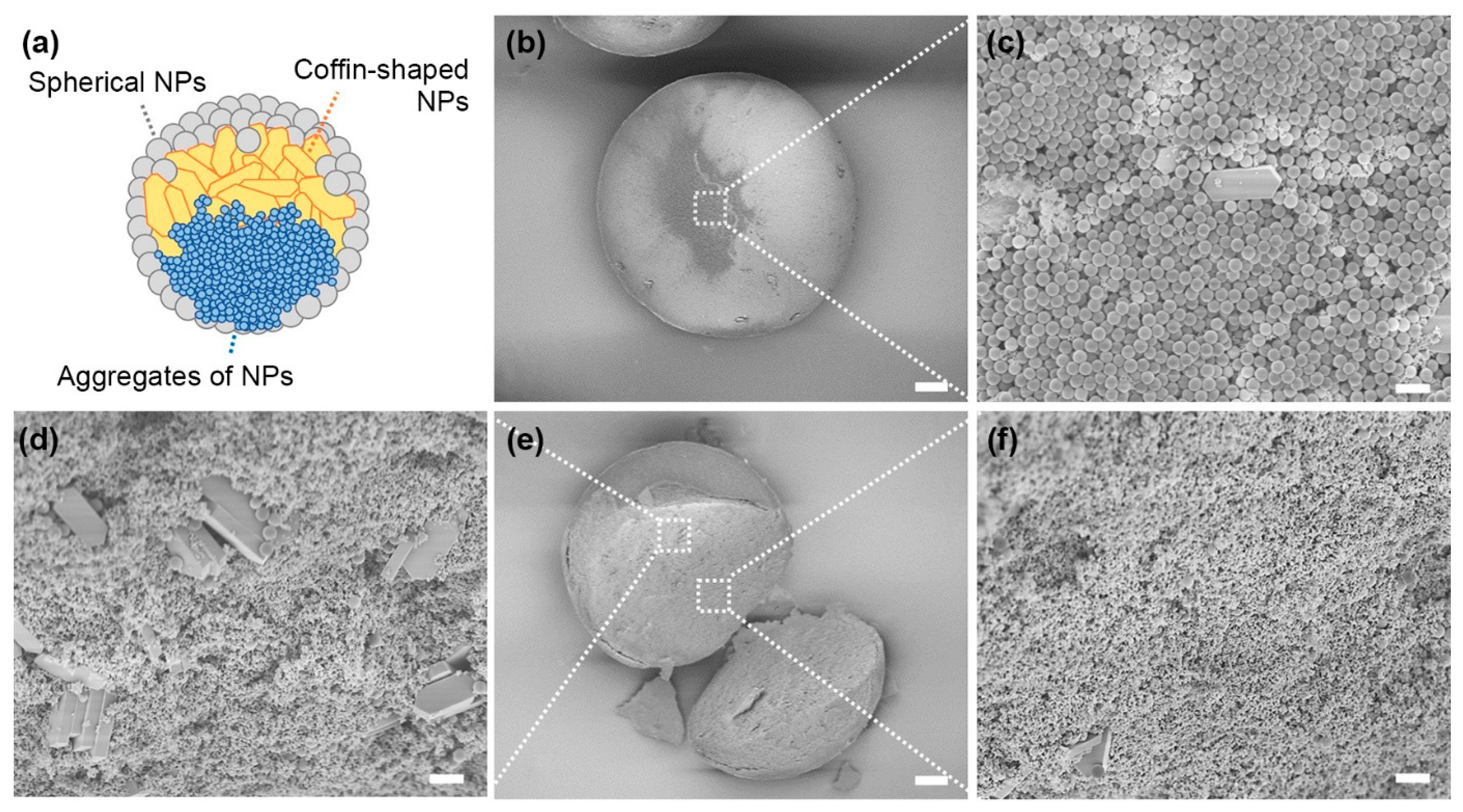 Crystals 11 00079 g009