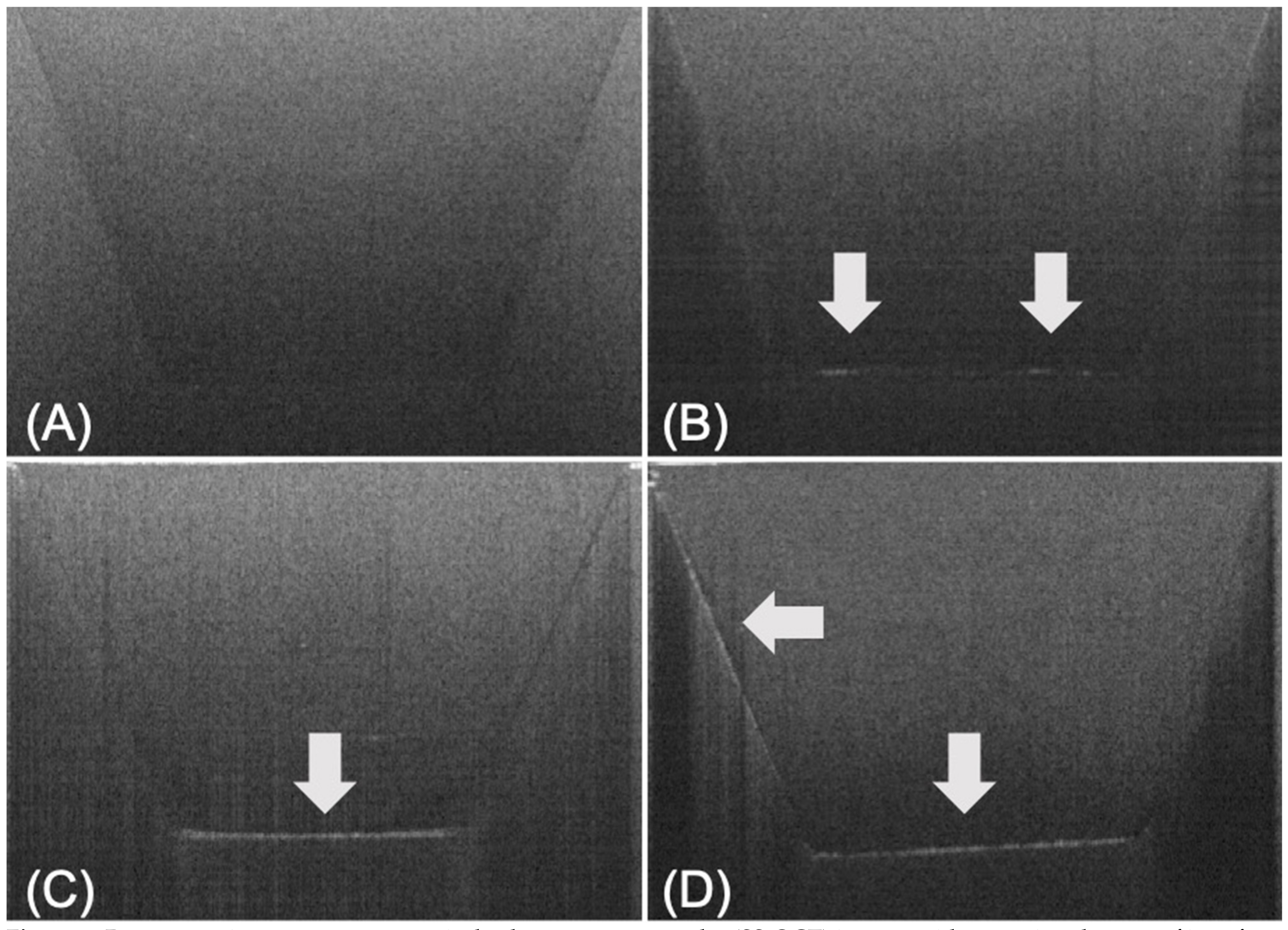 Crystals 11 00086 g002