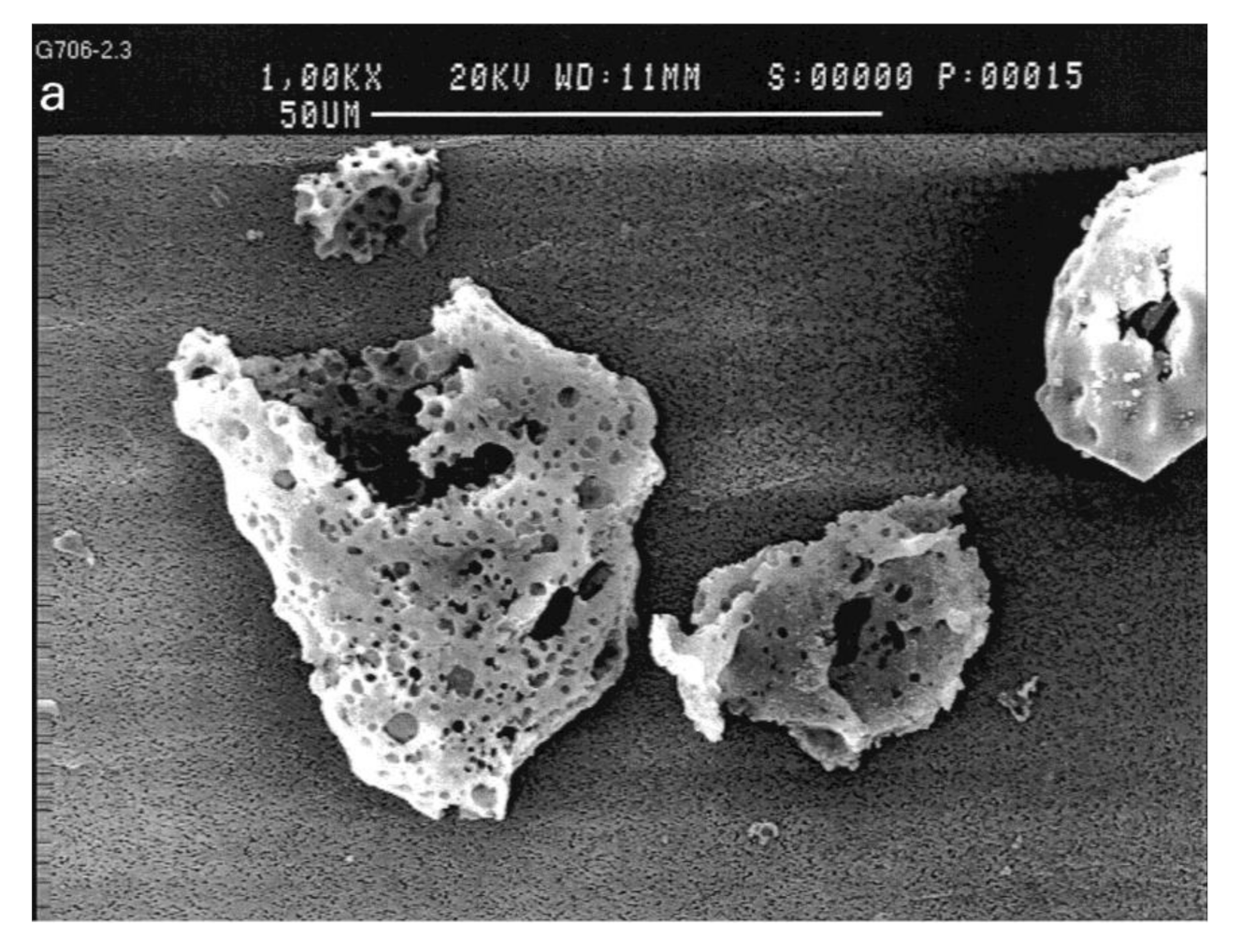 Crystals 11 00088 g004