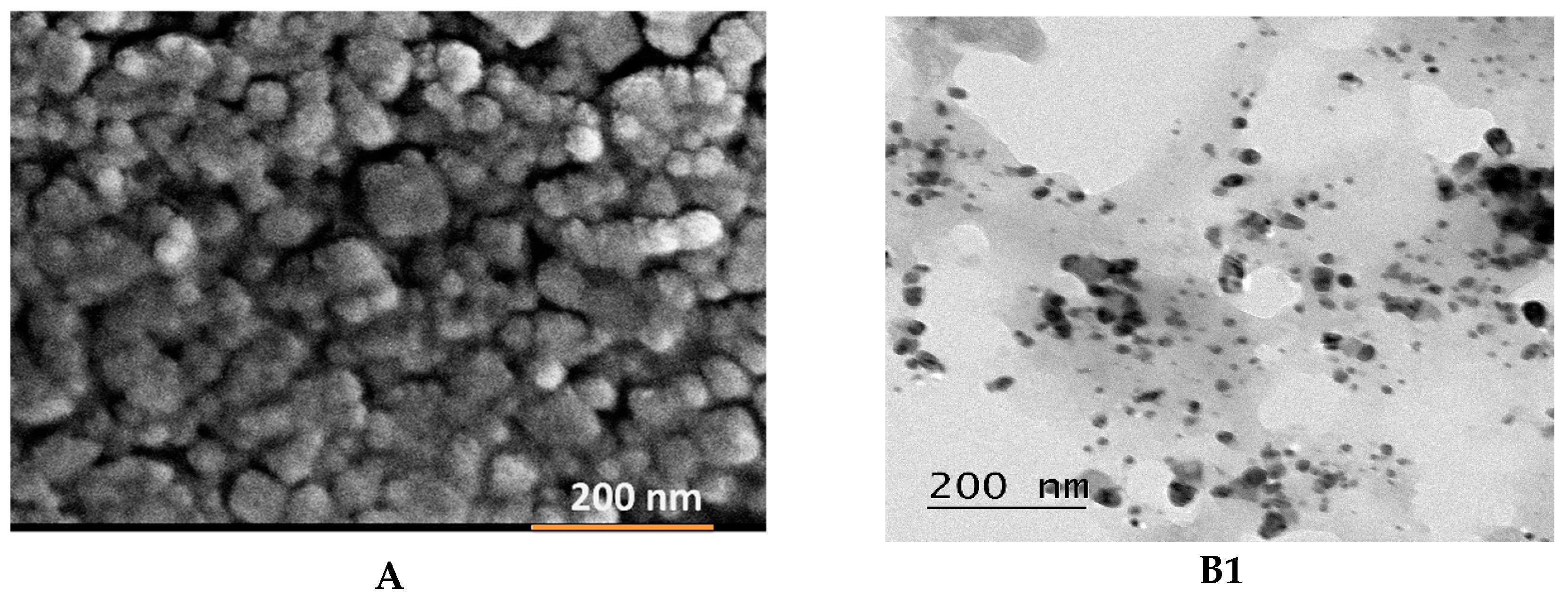 Crystals 11 00097 g002a Crystals 11 00097 g002a