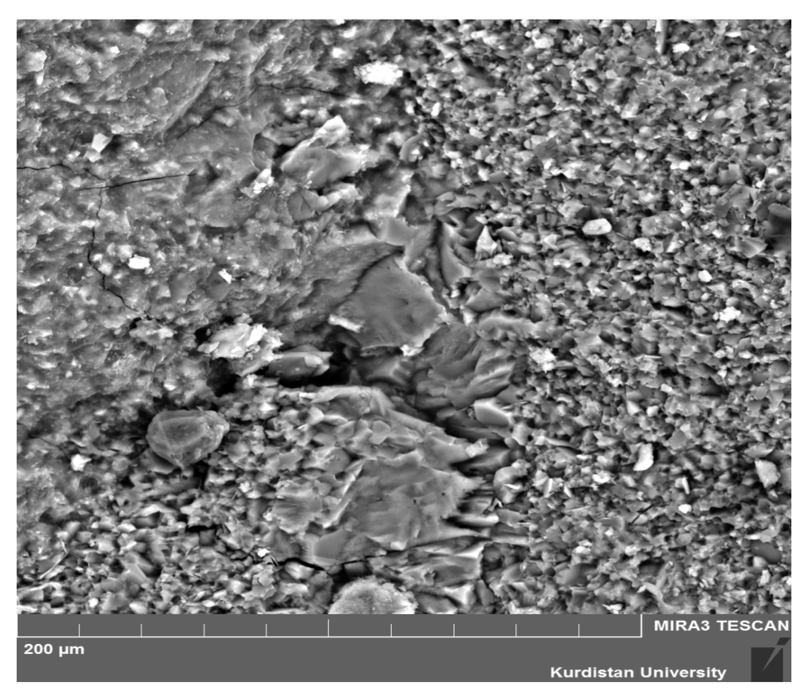 Crystals 11 00122 g008