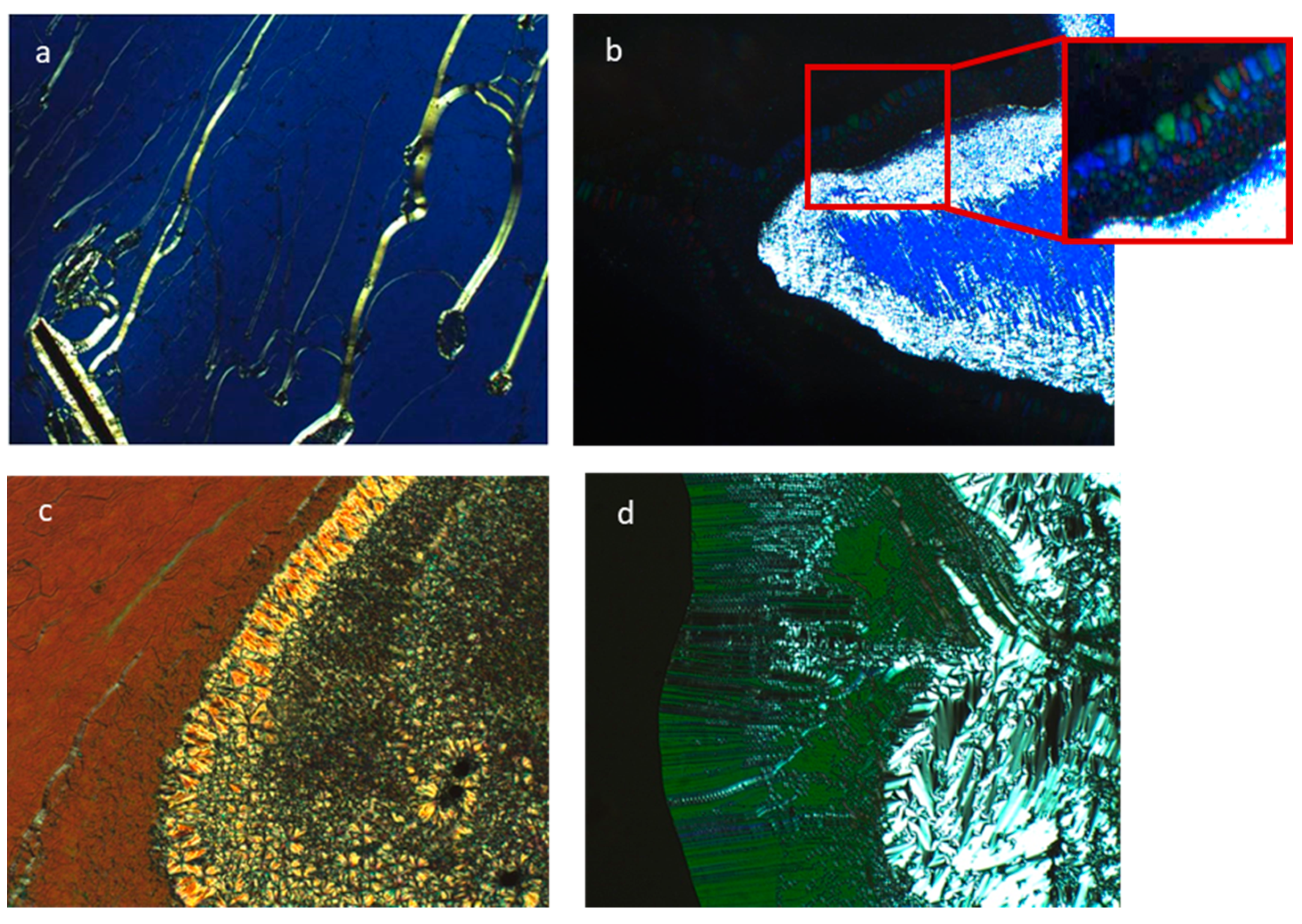 Crystals 11 00133 g005