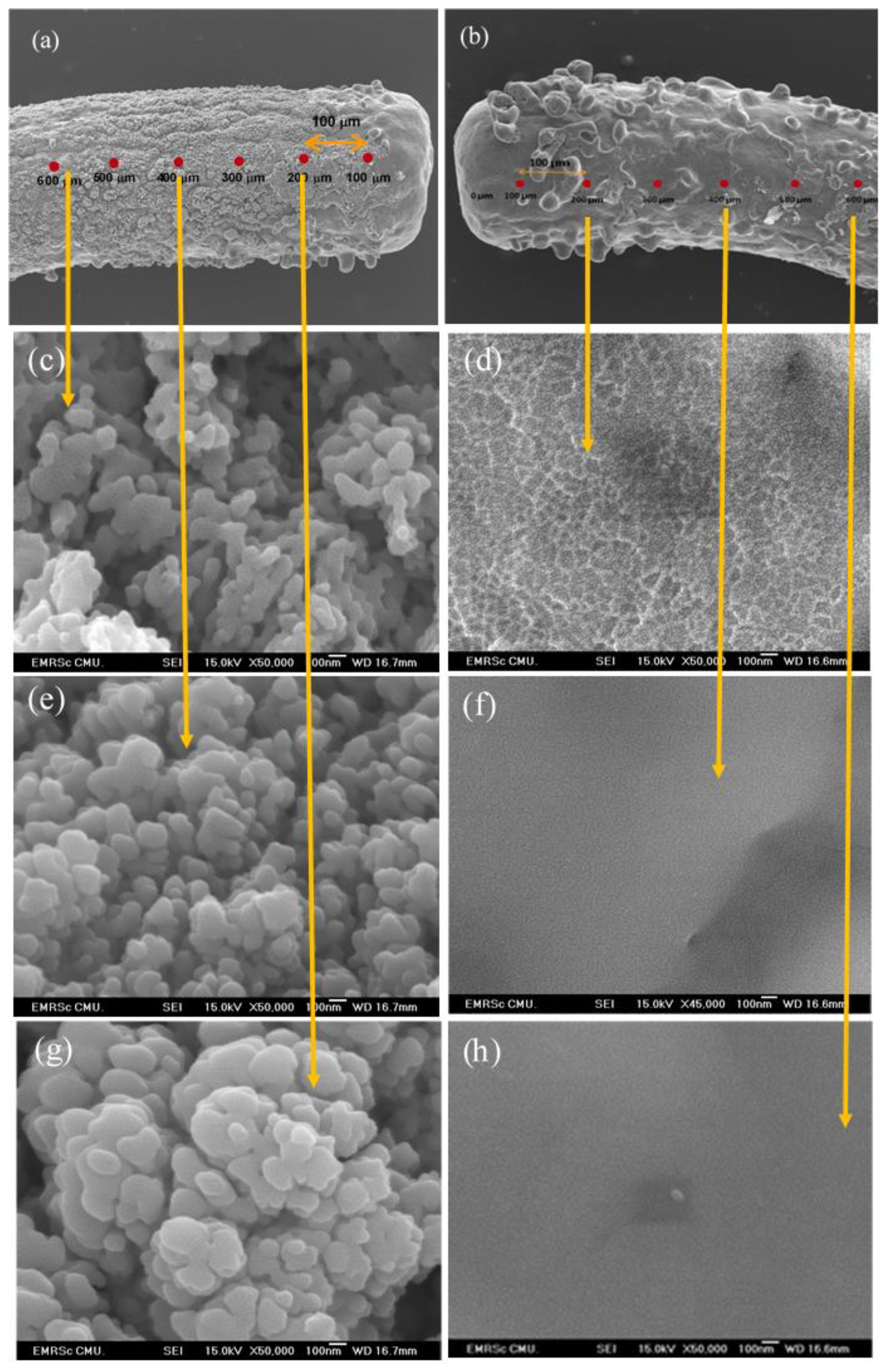 Crystals 11 00140 g005
