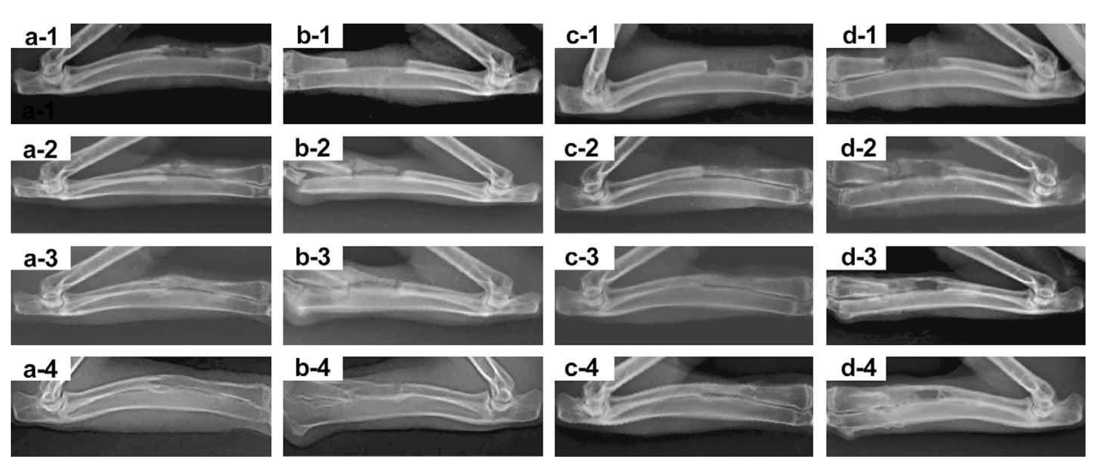 Crystals 11 00149 g004