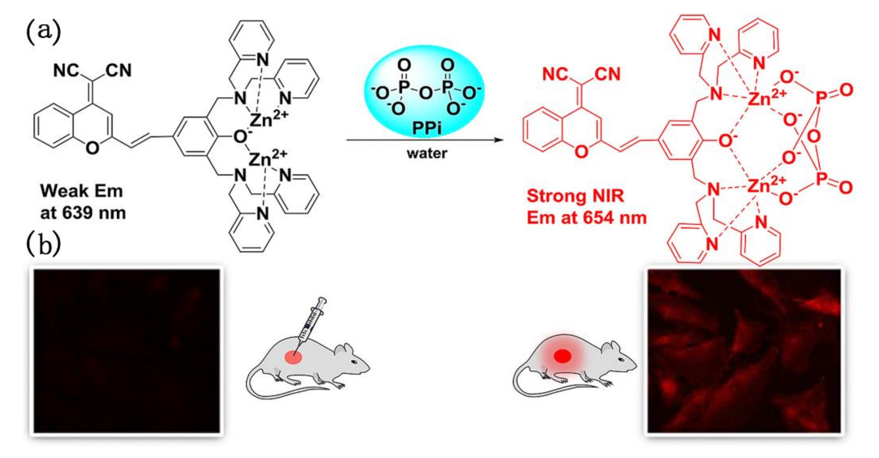 Crystals 11 00155 g017