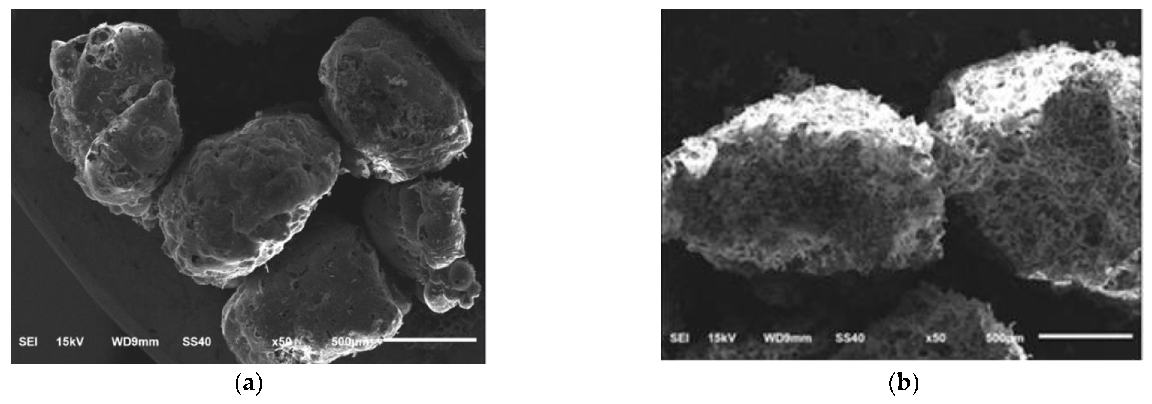 Crystals 11 00175 g003