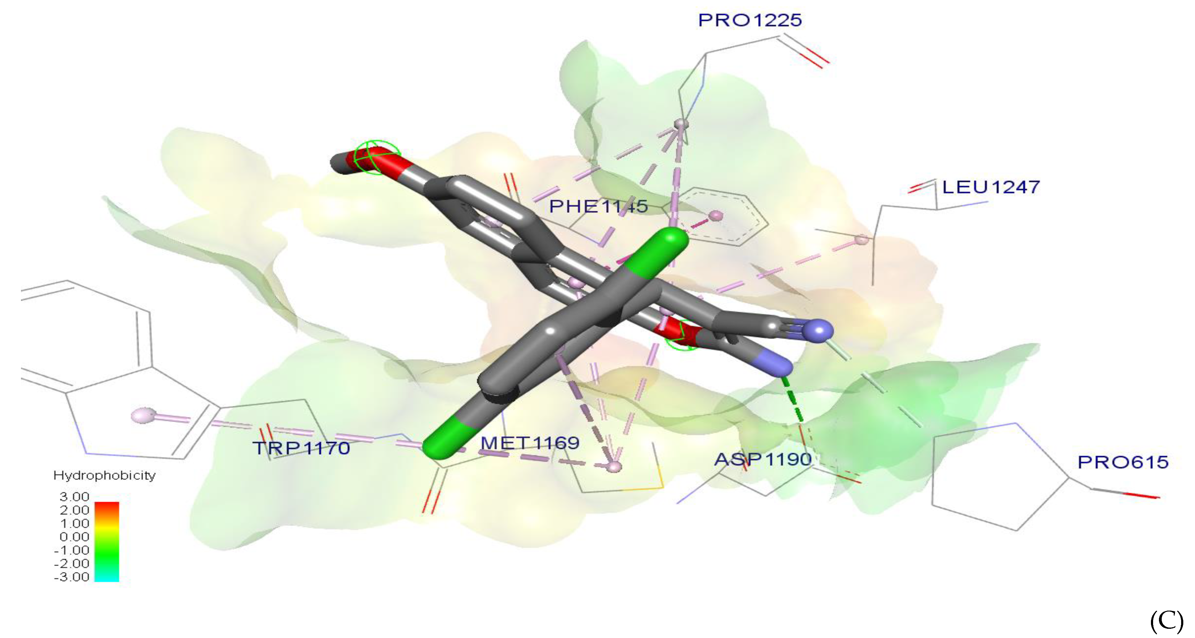 Crystals 11 00184 g008b