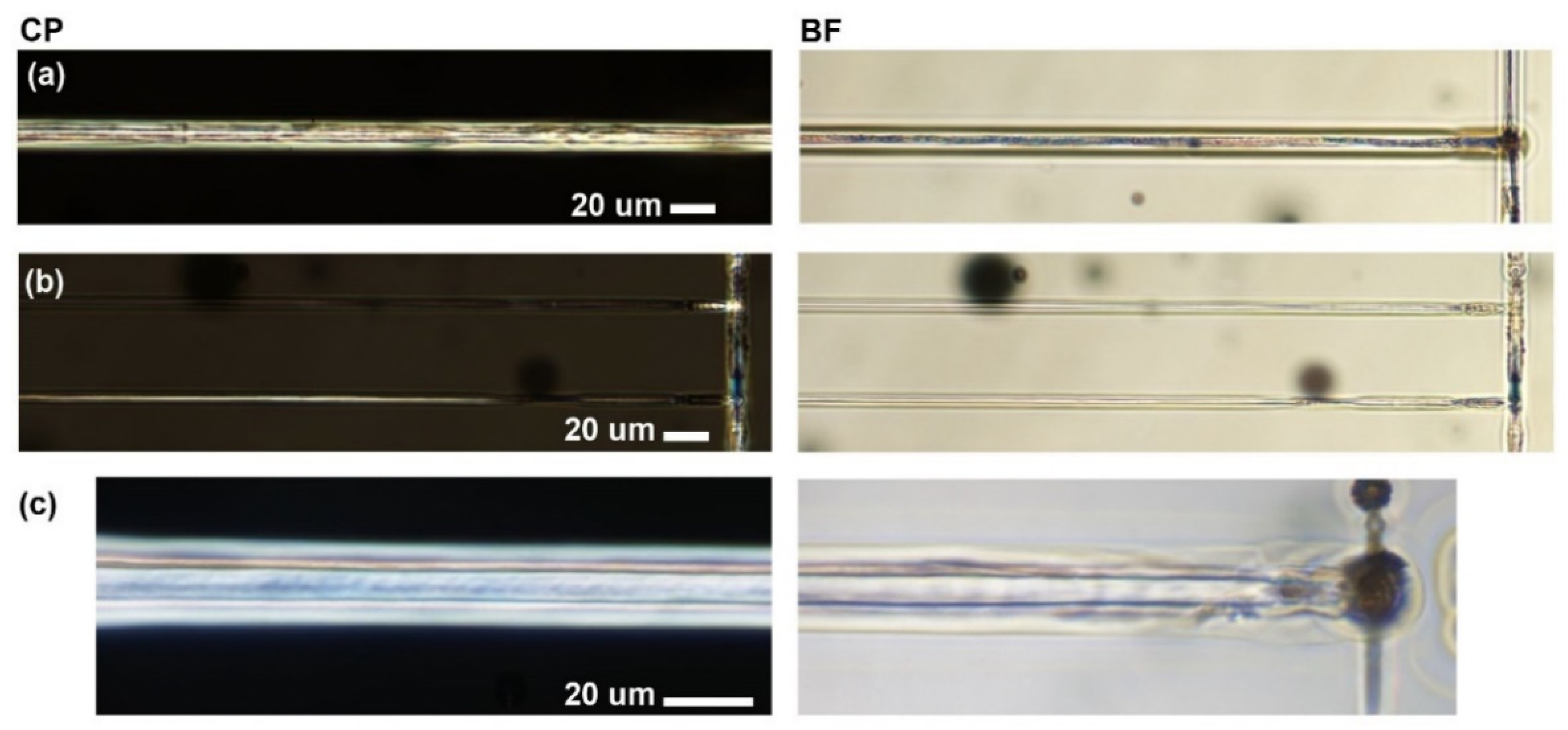 Crystals 11 00193 g003