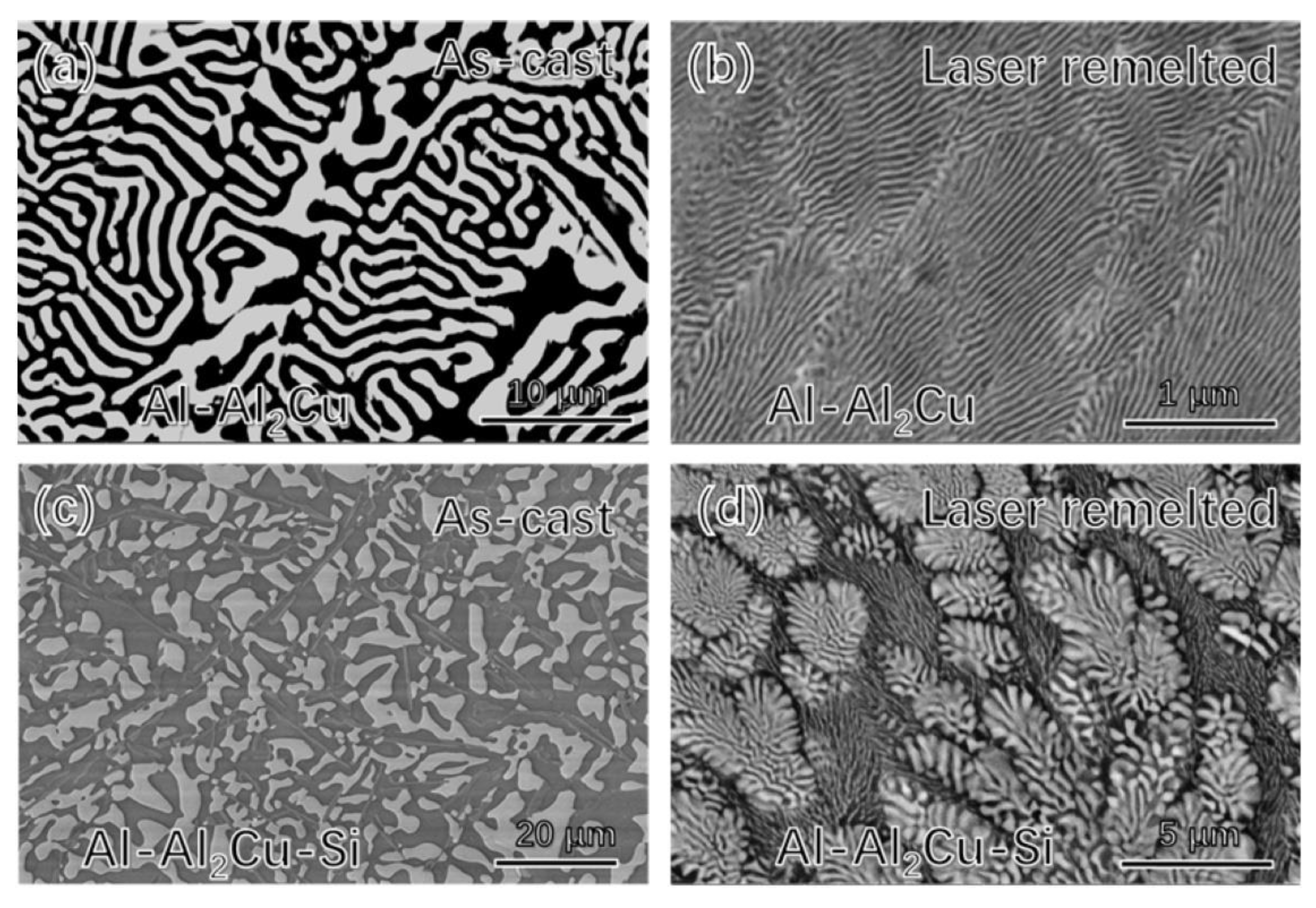 Crystals 11 00194 g001