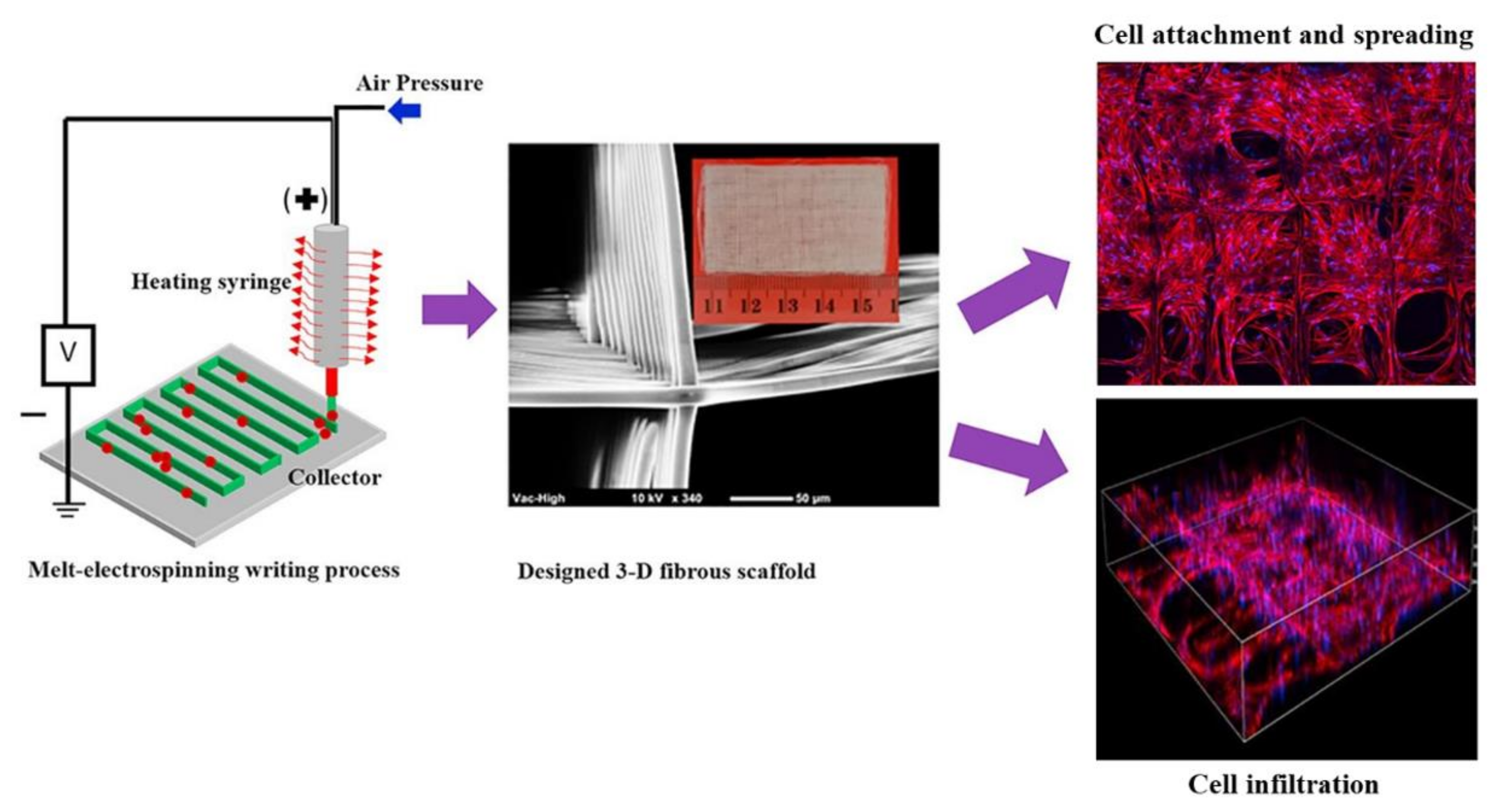 Crystals 11 00199 g004