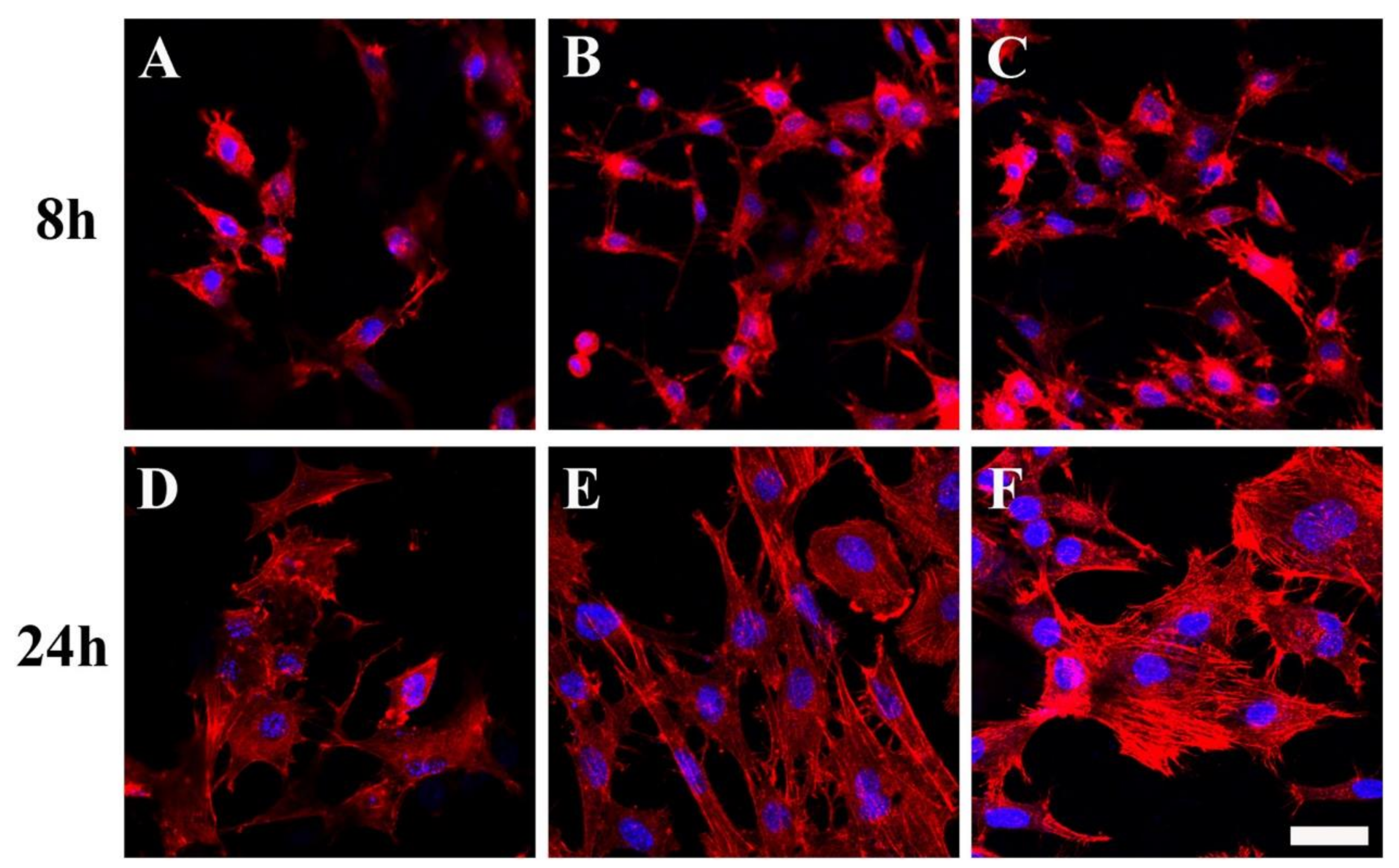 Crystals 11 00199 g005
