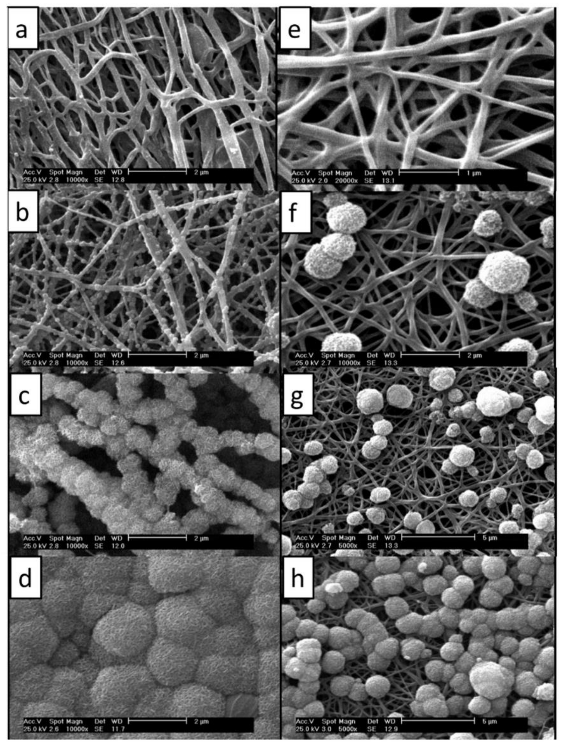 Crystals 11 00199 g009