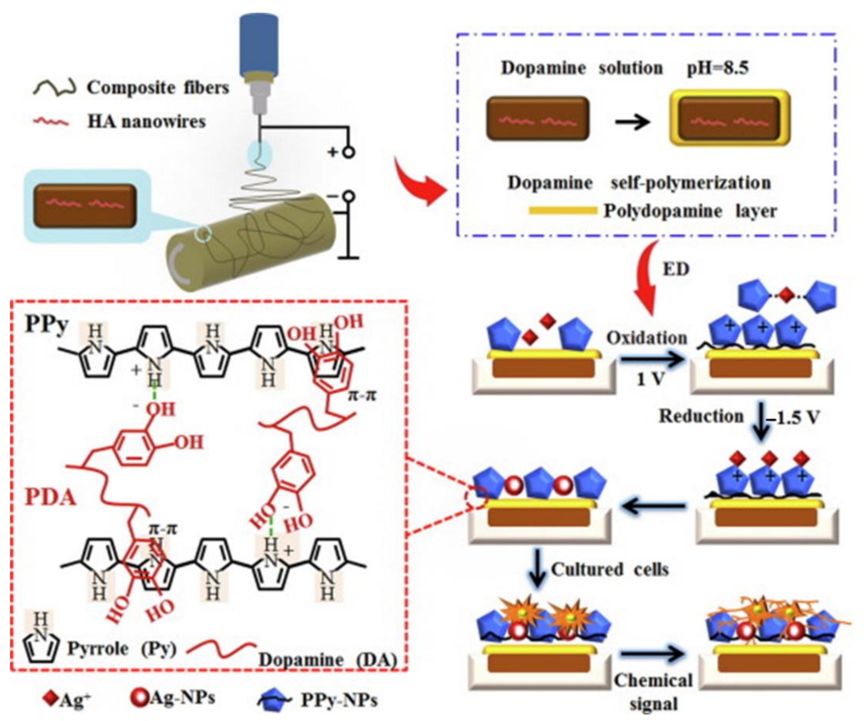 Crystals 11 00199 g010