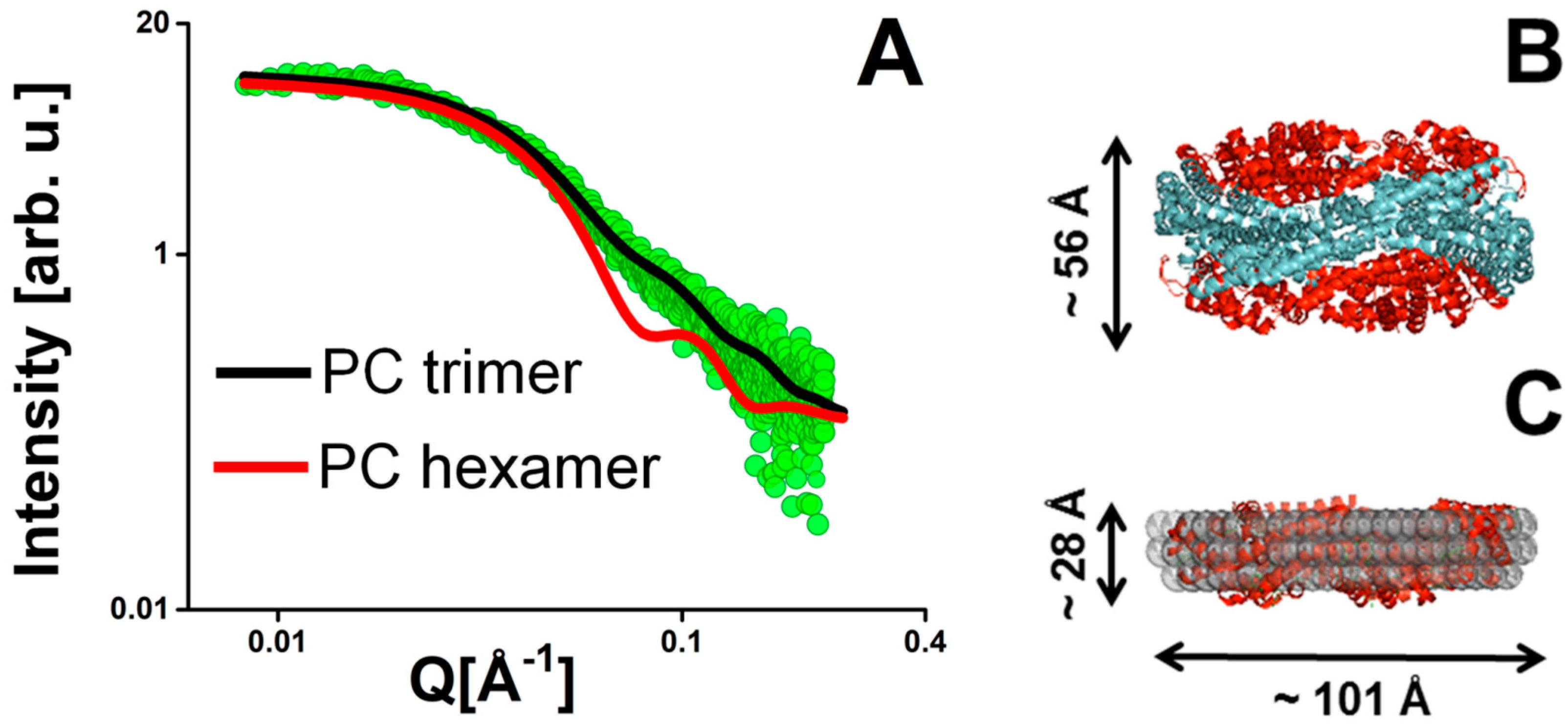 Crystals 11 00203 g001