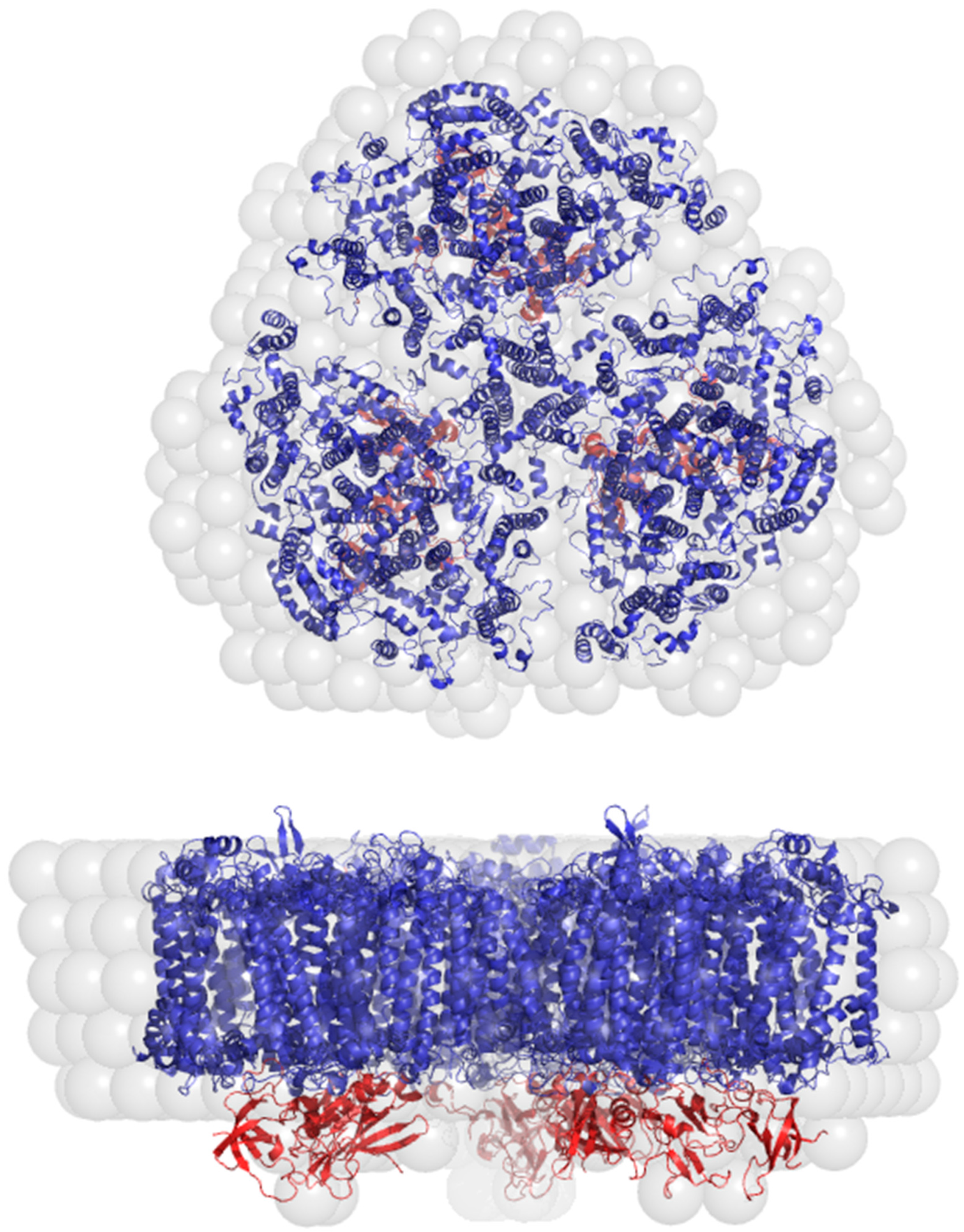 Crystals 11 00203 g004