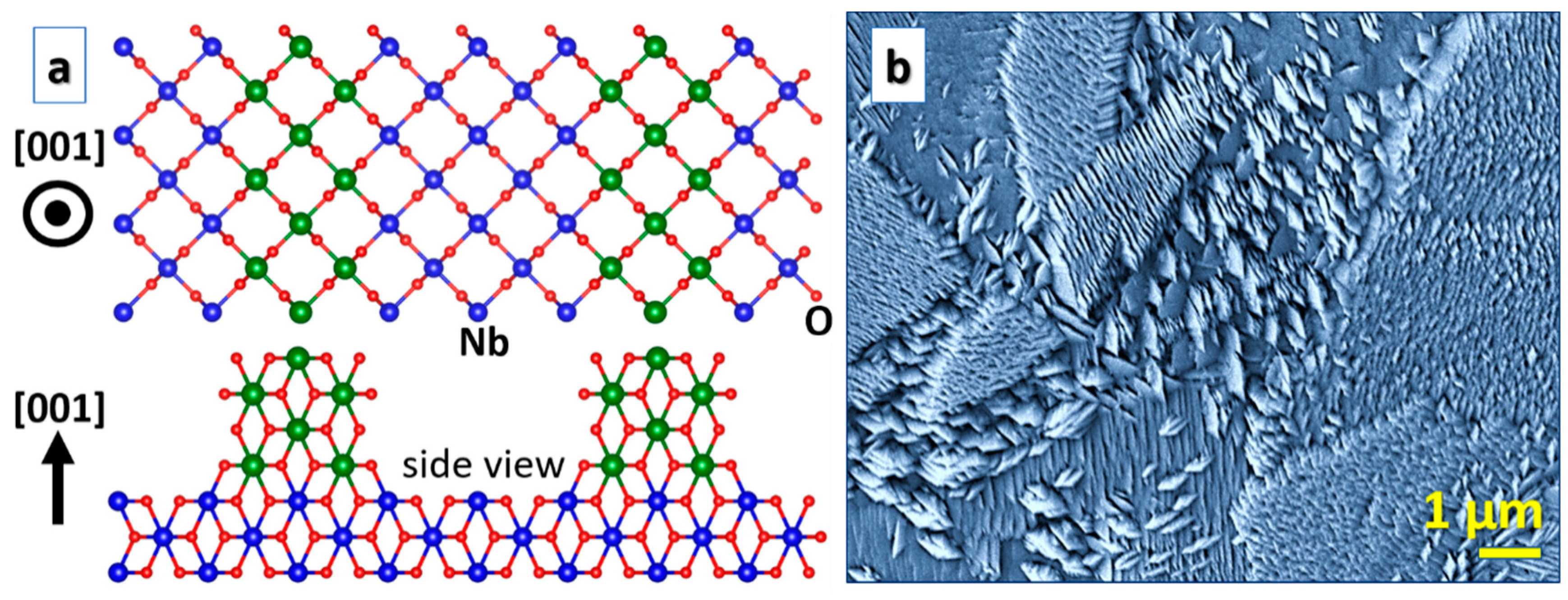 Crystals 11 00217 g004