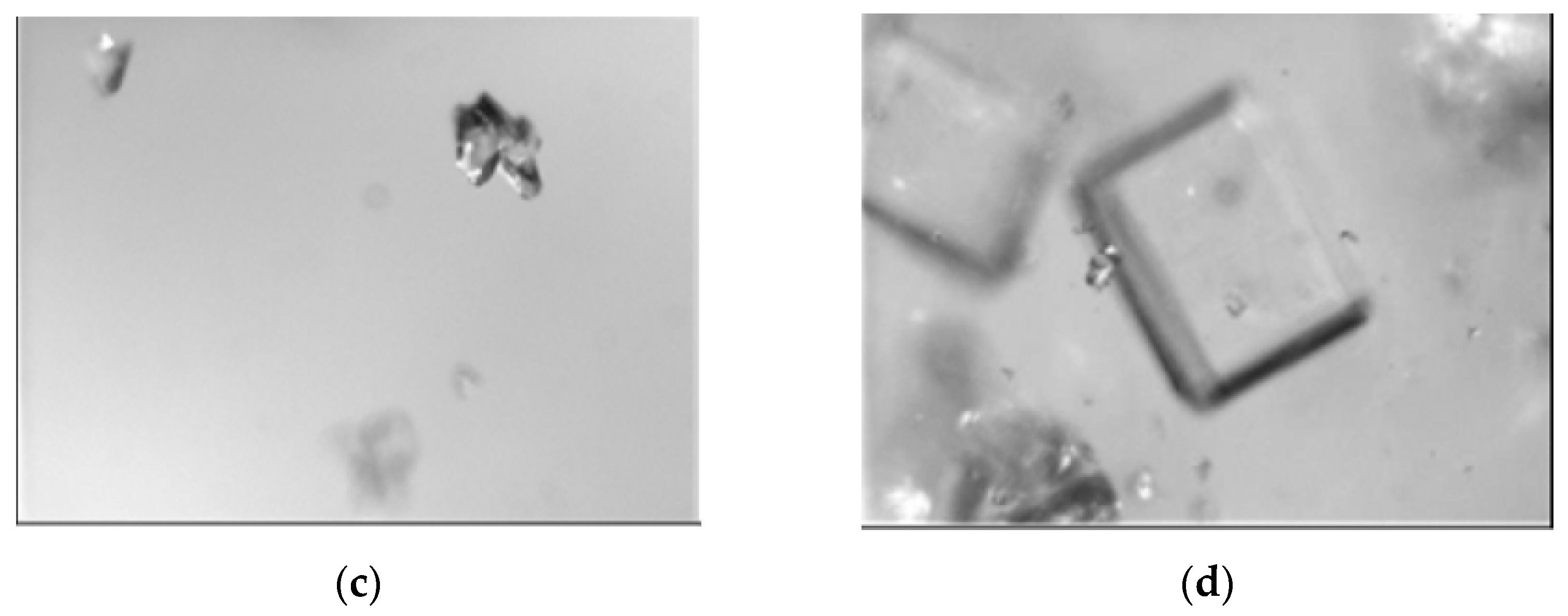 Crystals 11 00221 g005b